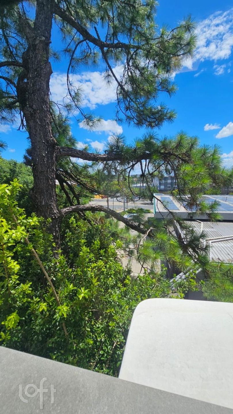 Imagem da propriedade 53