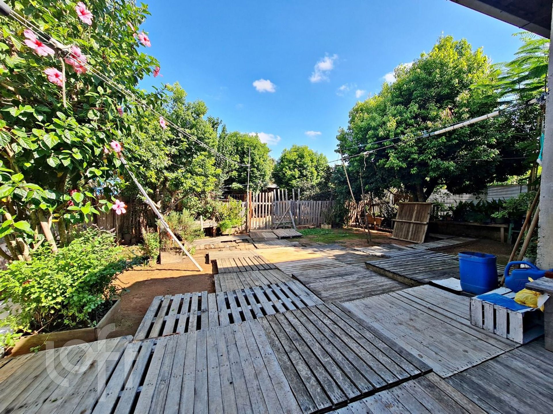 Imagem da propriedade 19