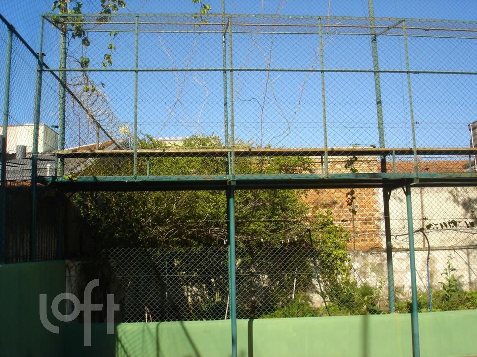 Imagem da propriedade 12