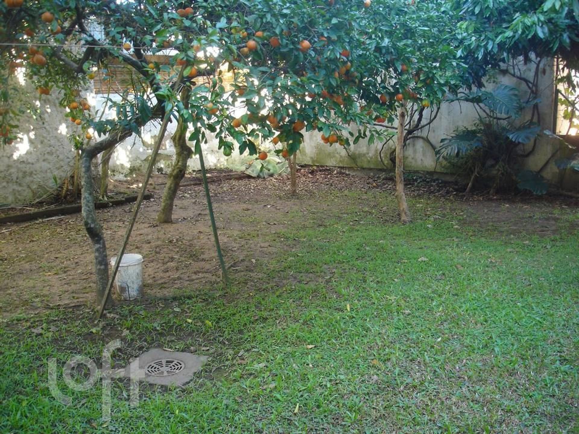 Imagem da propriedade 11