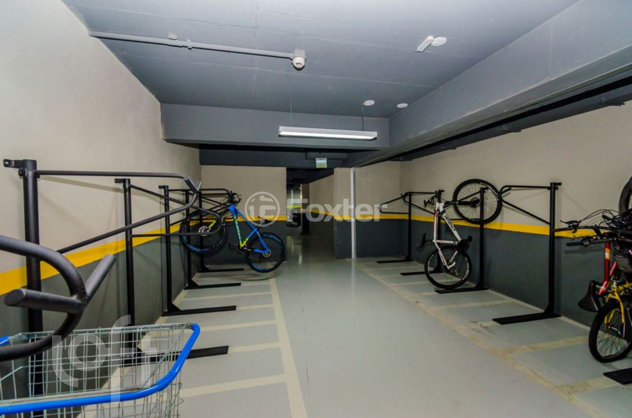 Imagem da propriedade 40