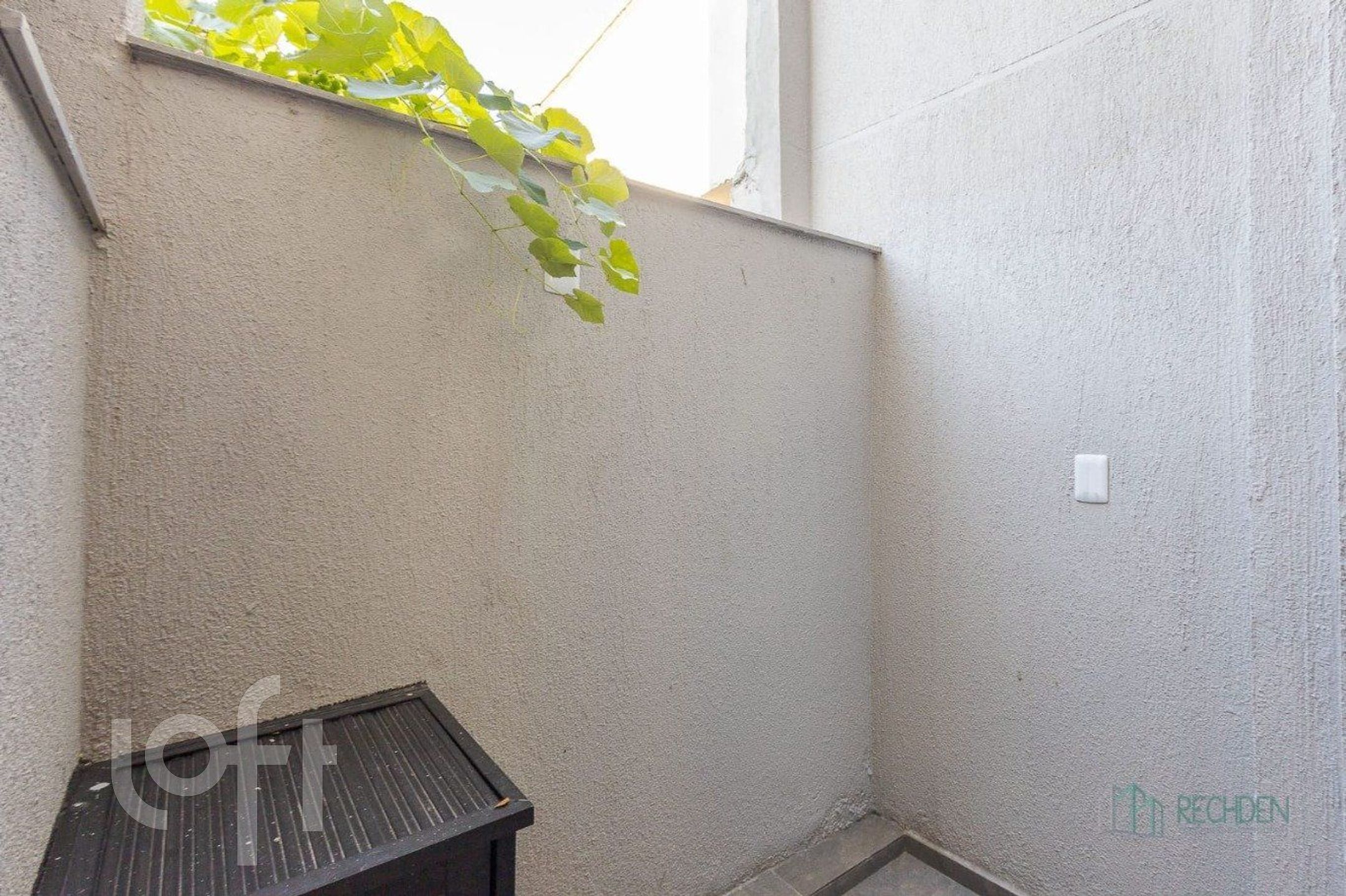 Imagem da propriedade 7