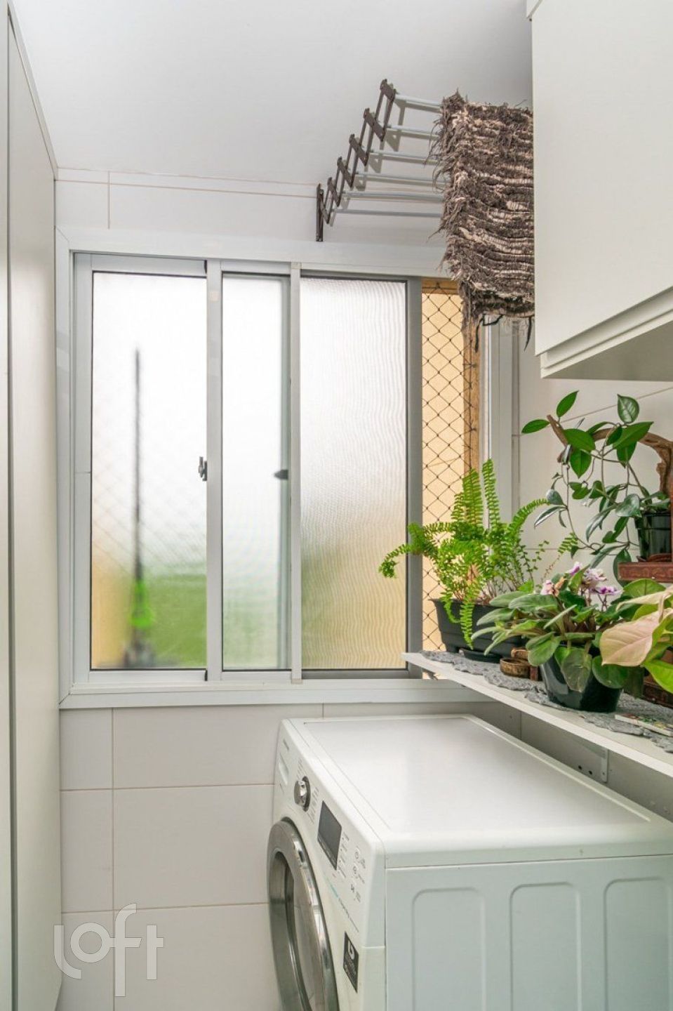 Imagem da propriedade 8