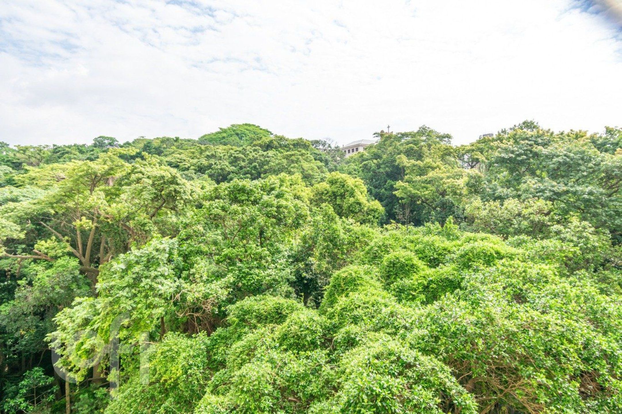 Imagem da propriedade 13