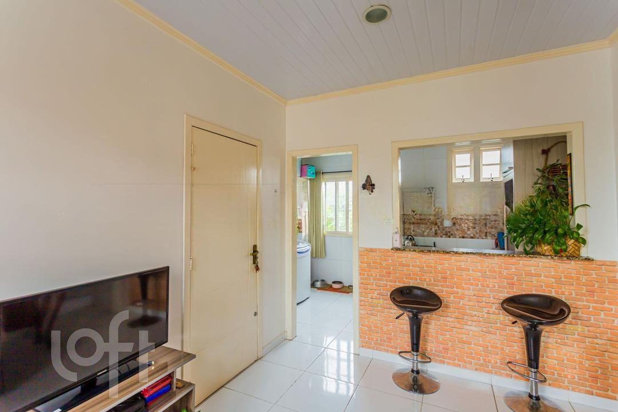 Imagem da propriedade 3