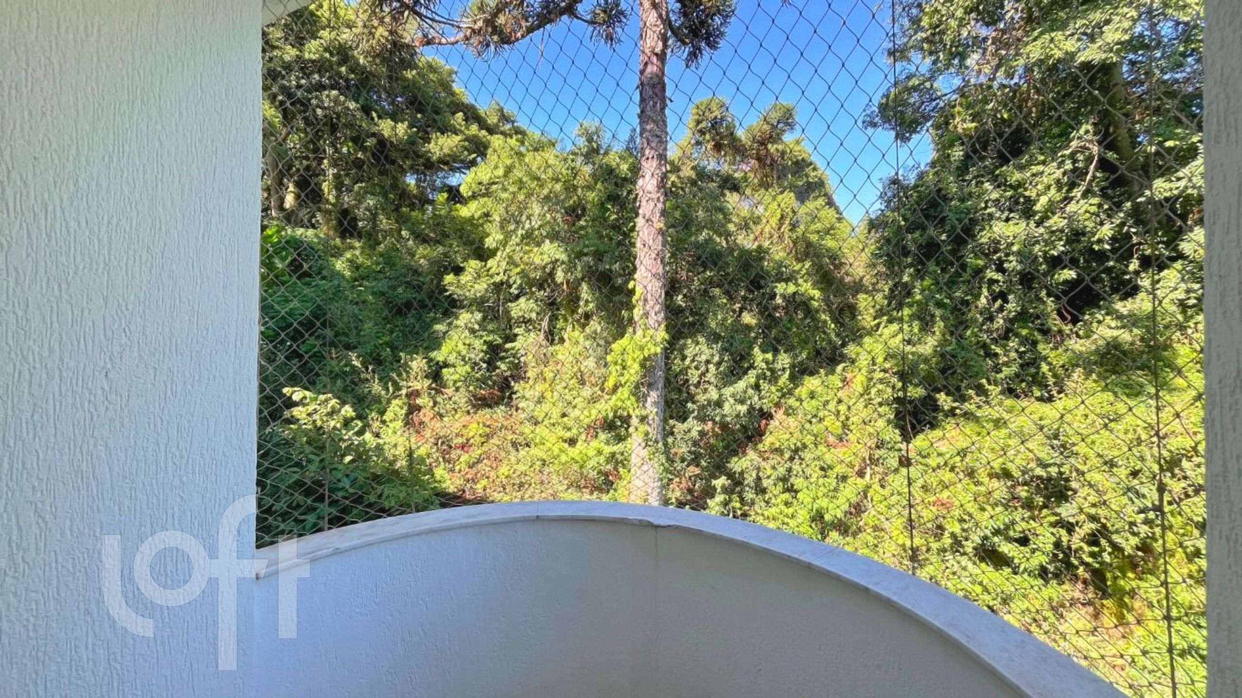 Imagem da propriedade 53