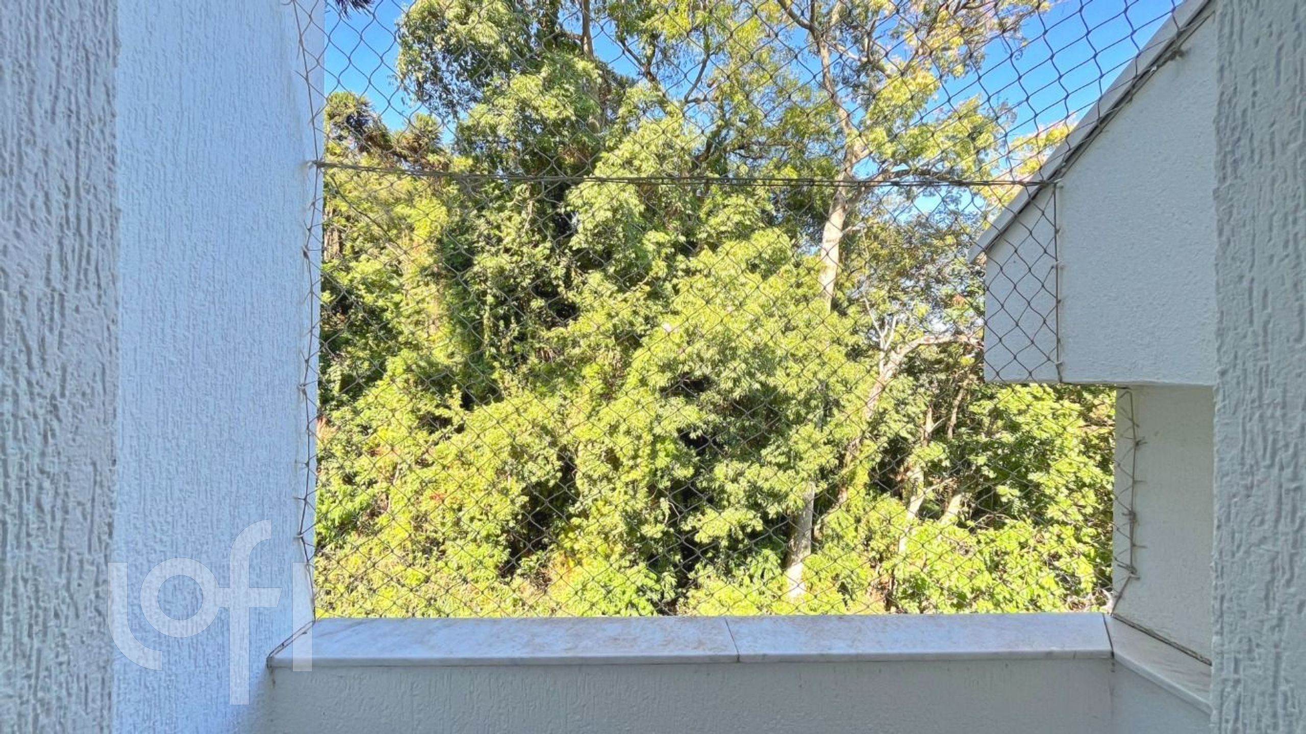 Imagem da propriedade 51