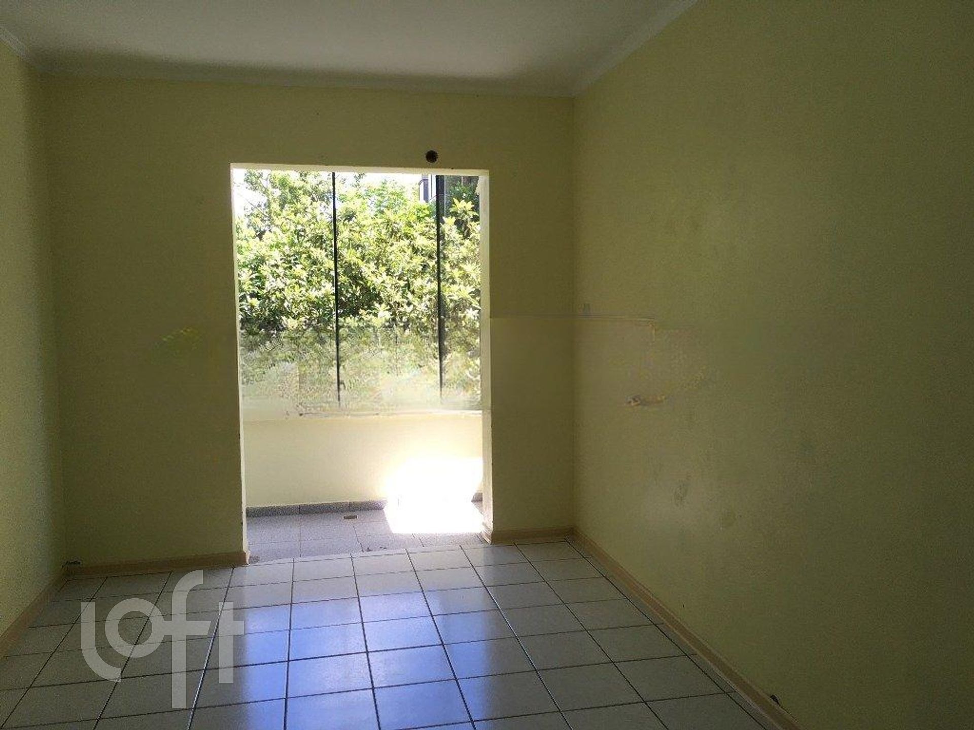 Imagem da propriedade 13