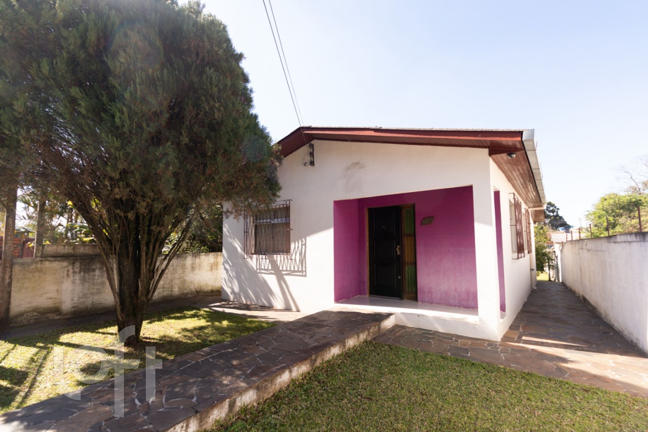 Imagem da propriedade 3