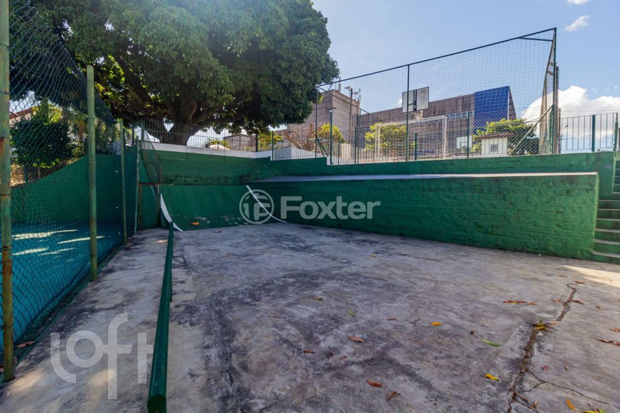 Imagem da propriedade 39