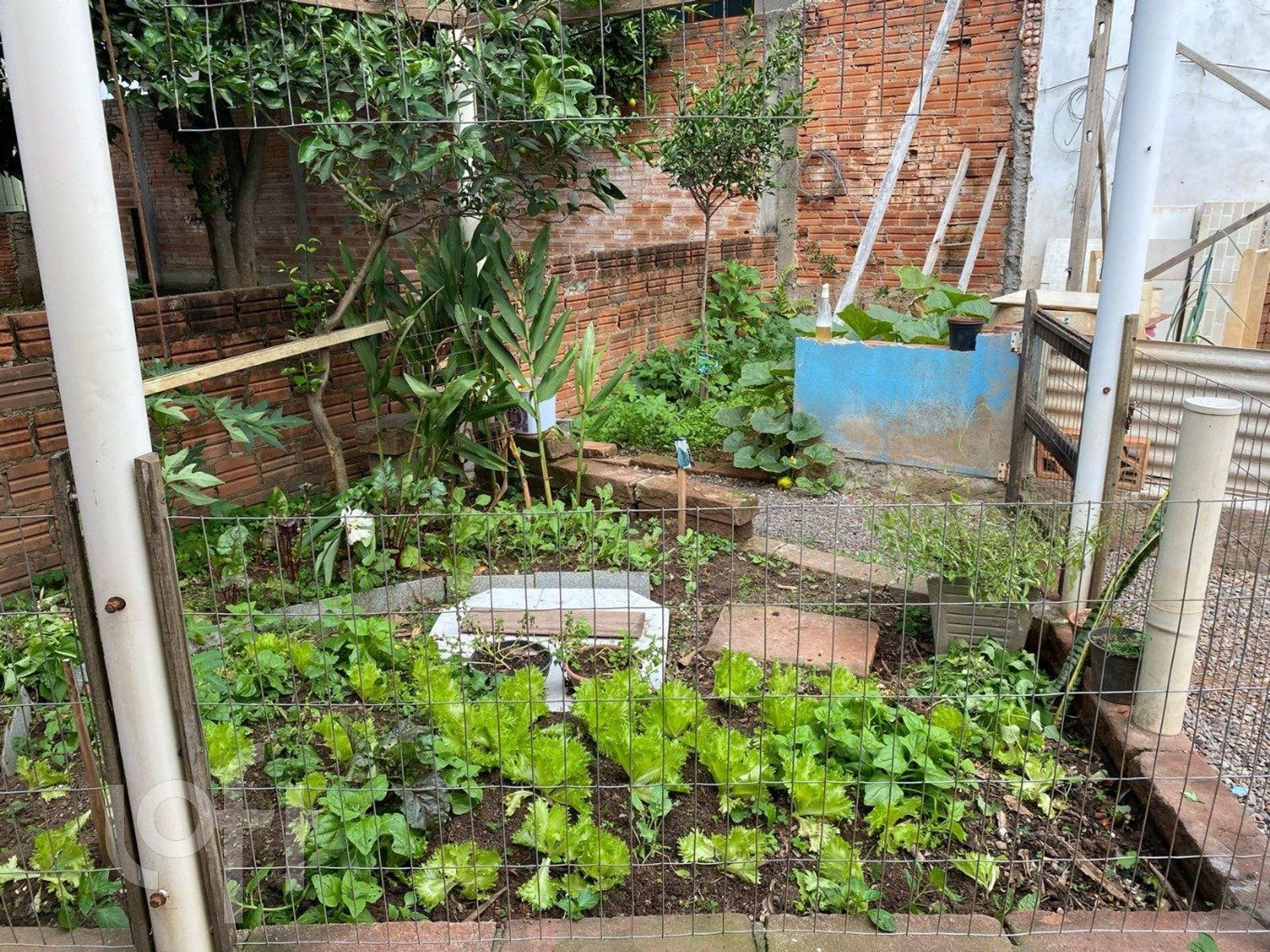 Imagem da propriedade 26