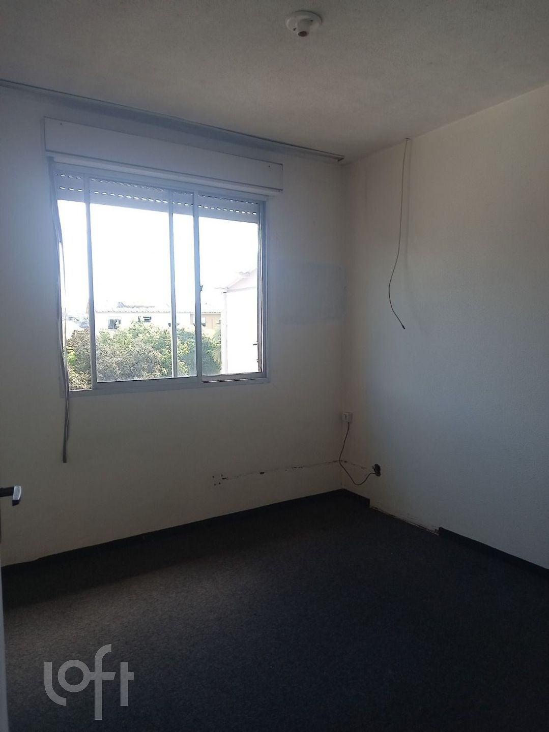 Imagem da propriedade 6