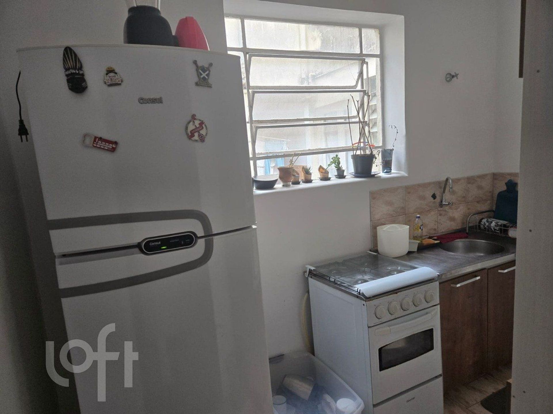 Imagem da propriedade 6