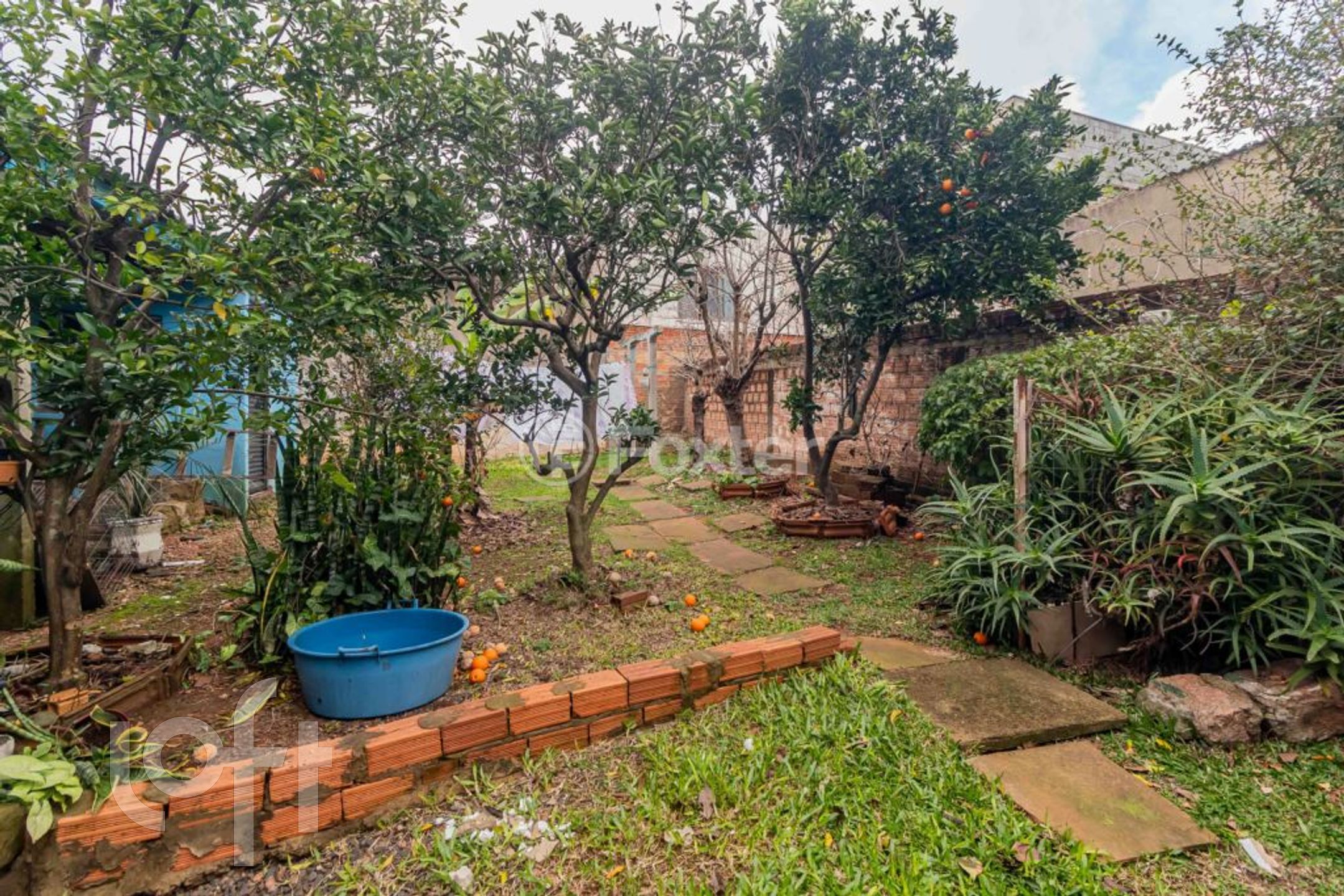 Imagem da propriedade 44