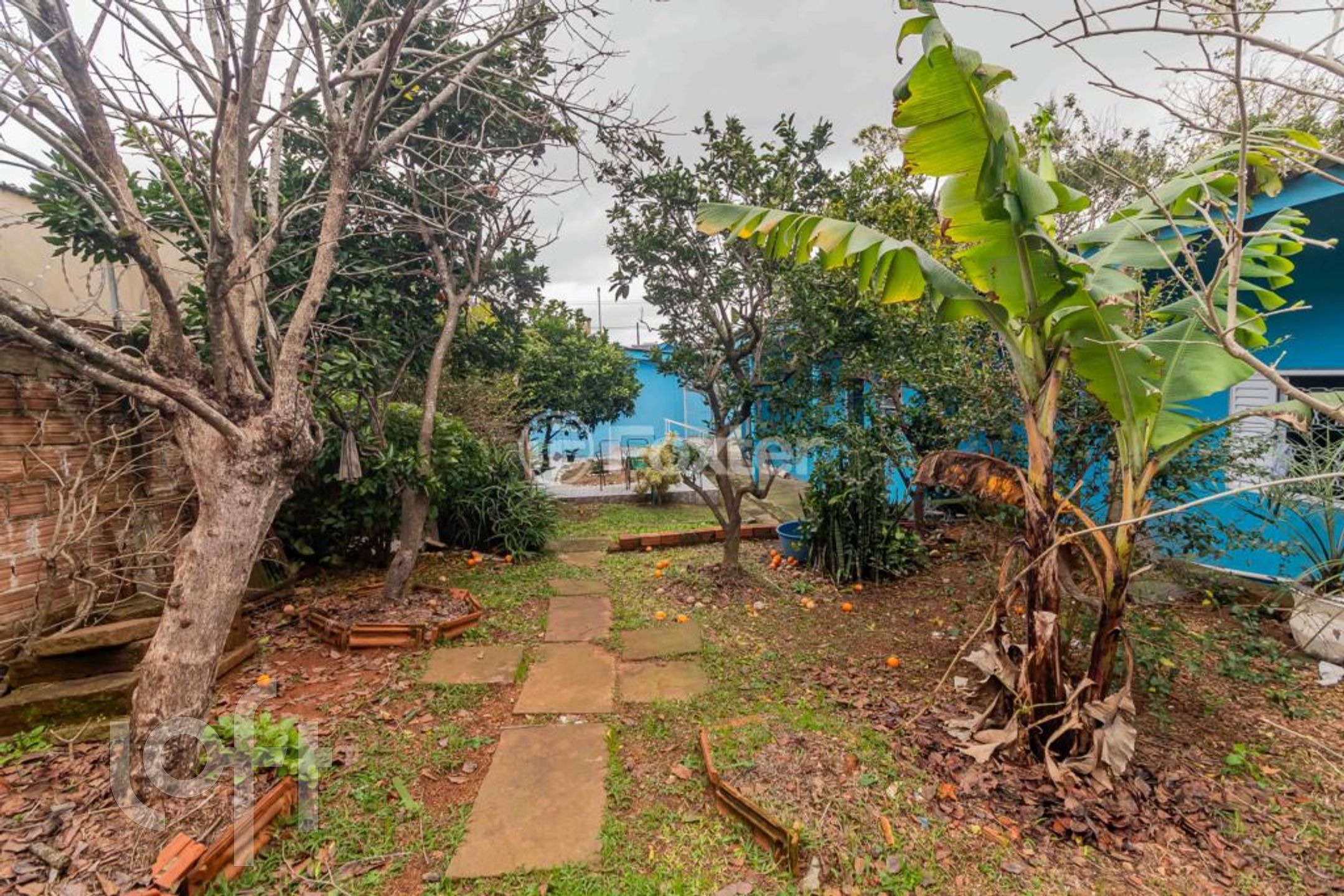 Imagem da propriedade 45