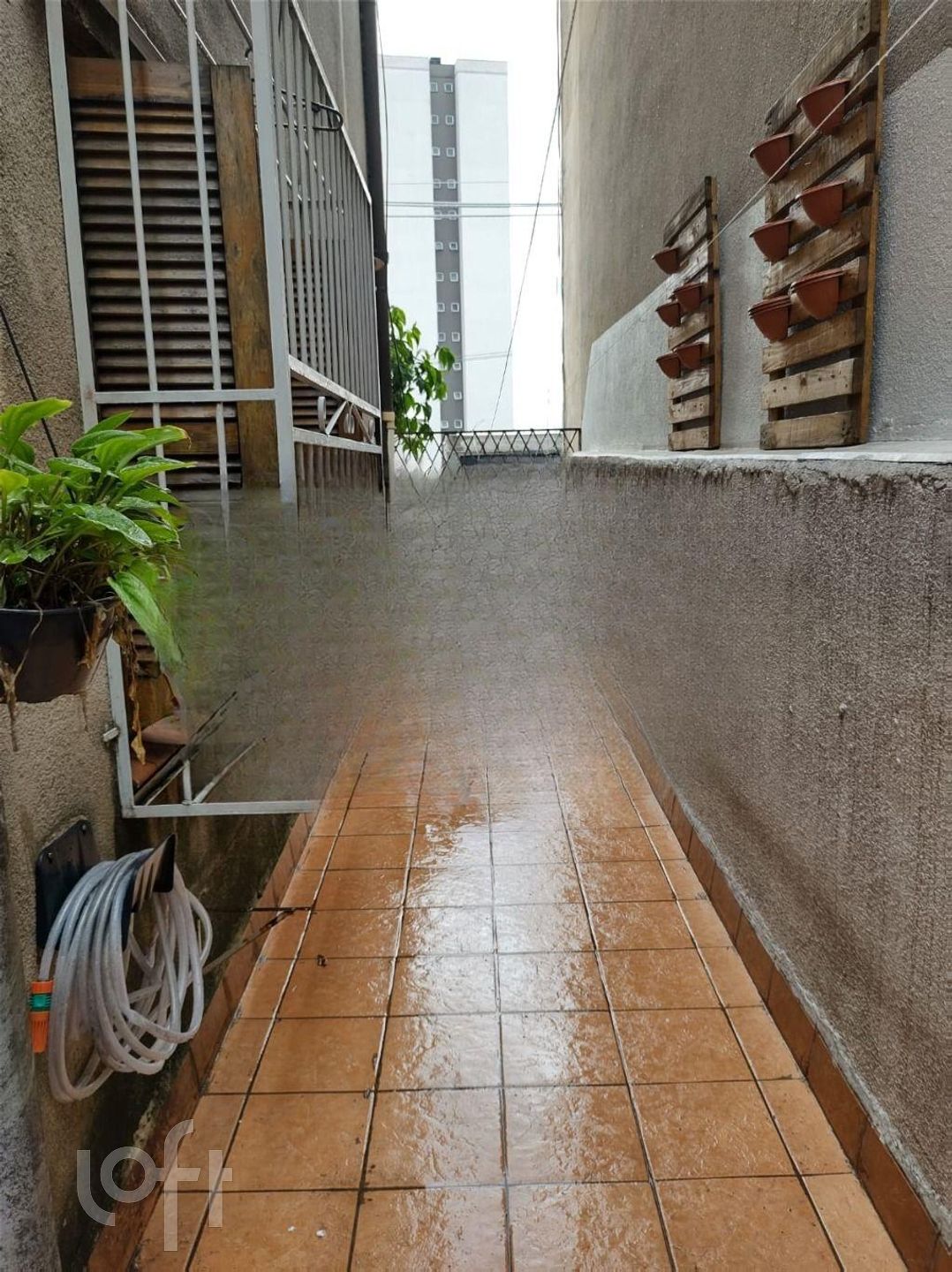 Imagem da propriedade 28