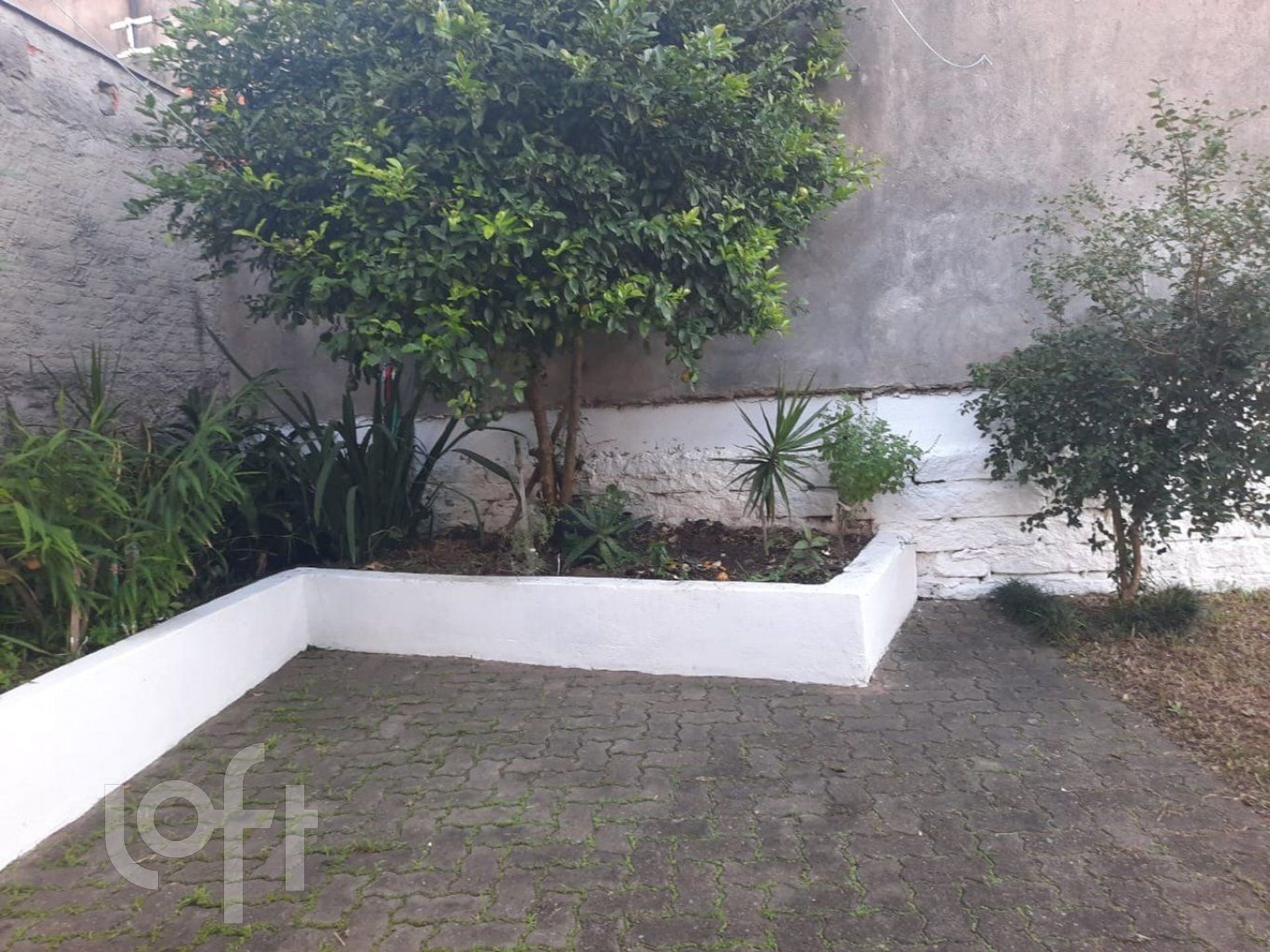 Imagem da propriedade 39