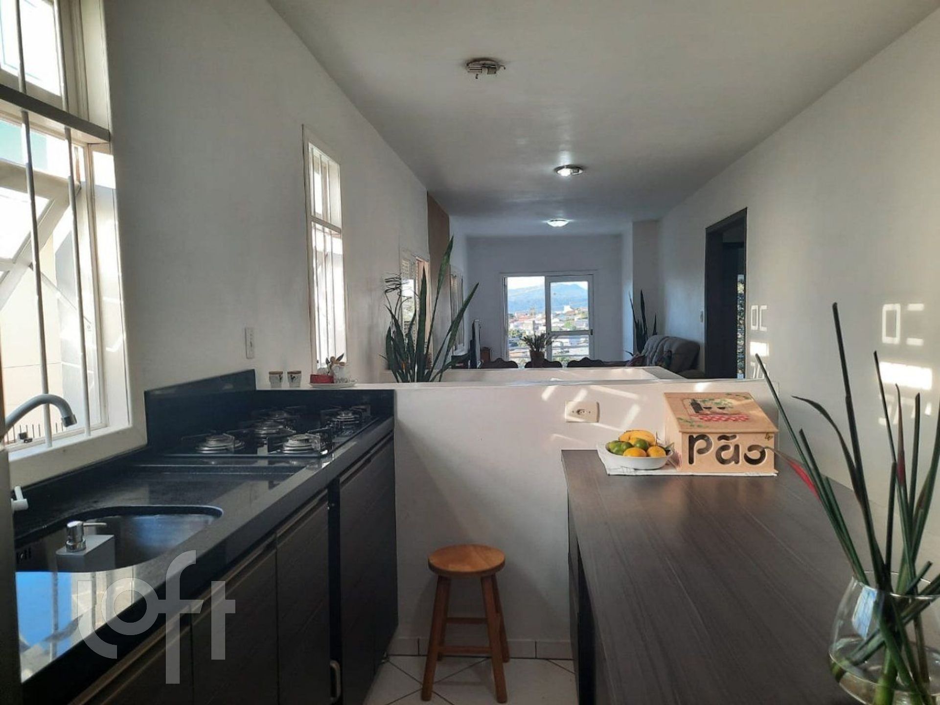 Imagem da propriedade 7