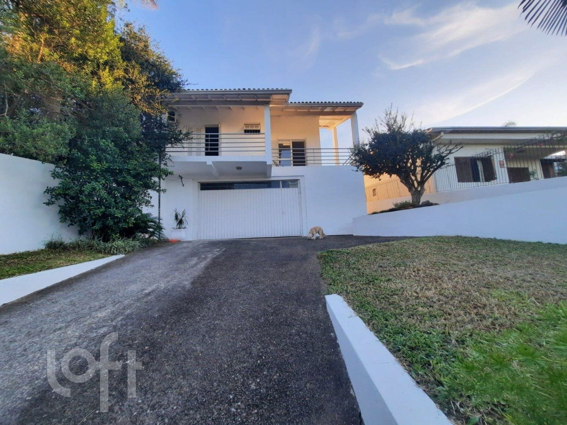 Imagem da propriedade 11