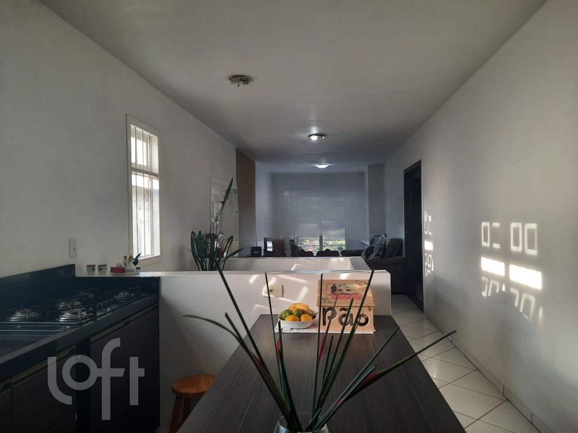 Imagem da propriedade 14