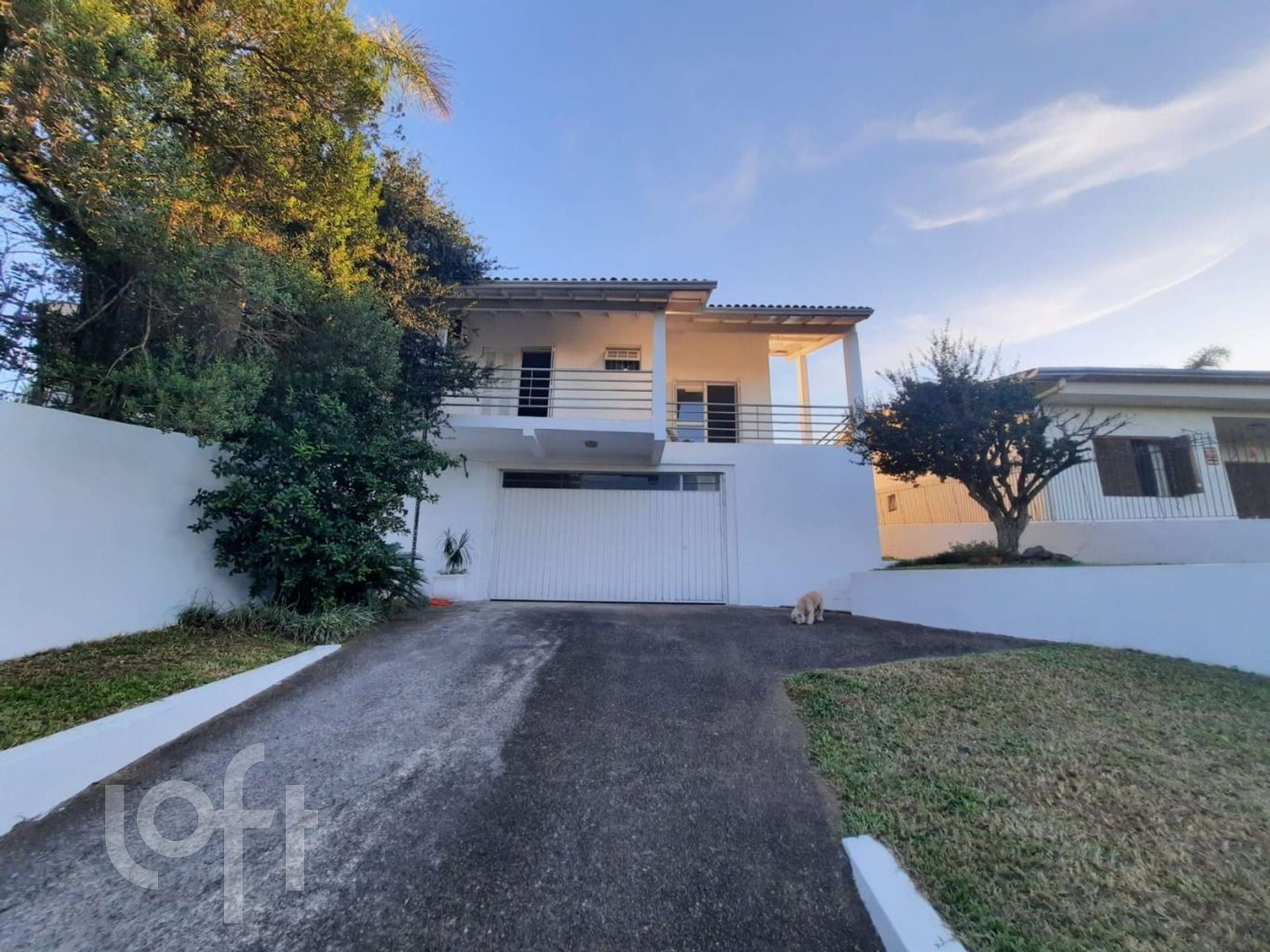 Imagem da propriedade 3