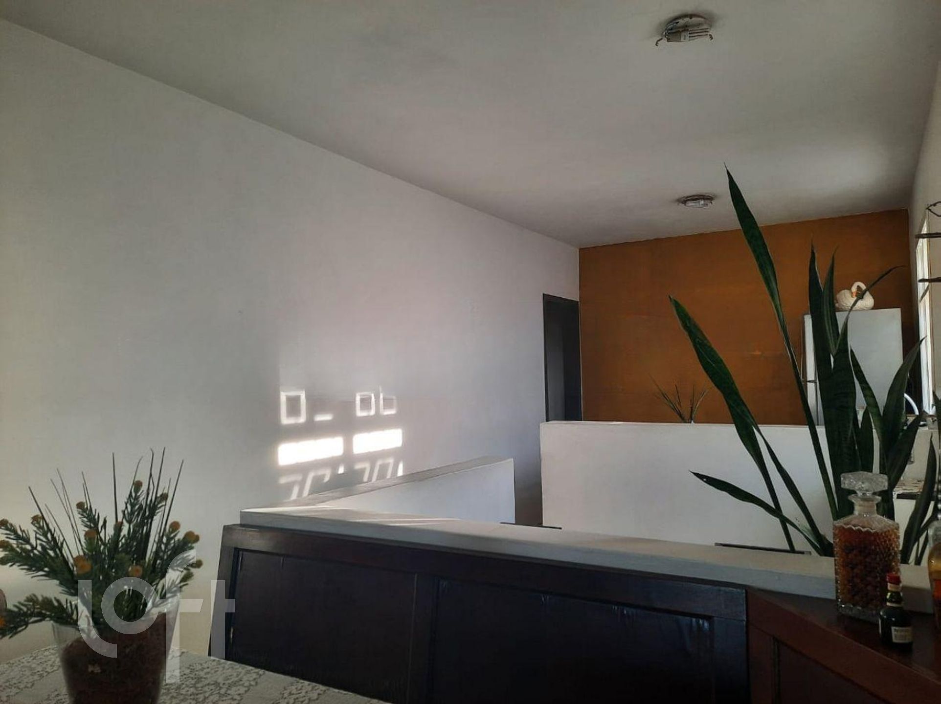 Imagem da propriedade 8