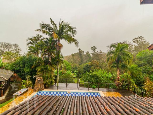 Foto 4