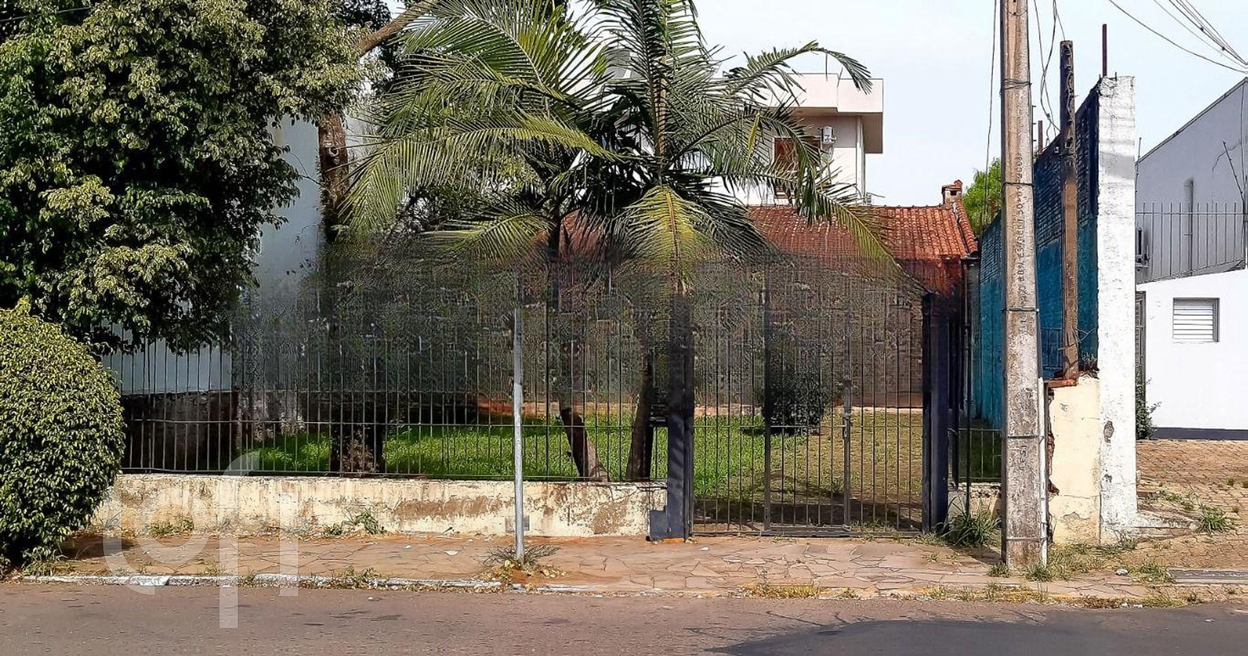 Imagem da propriedade 3