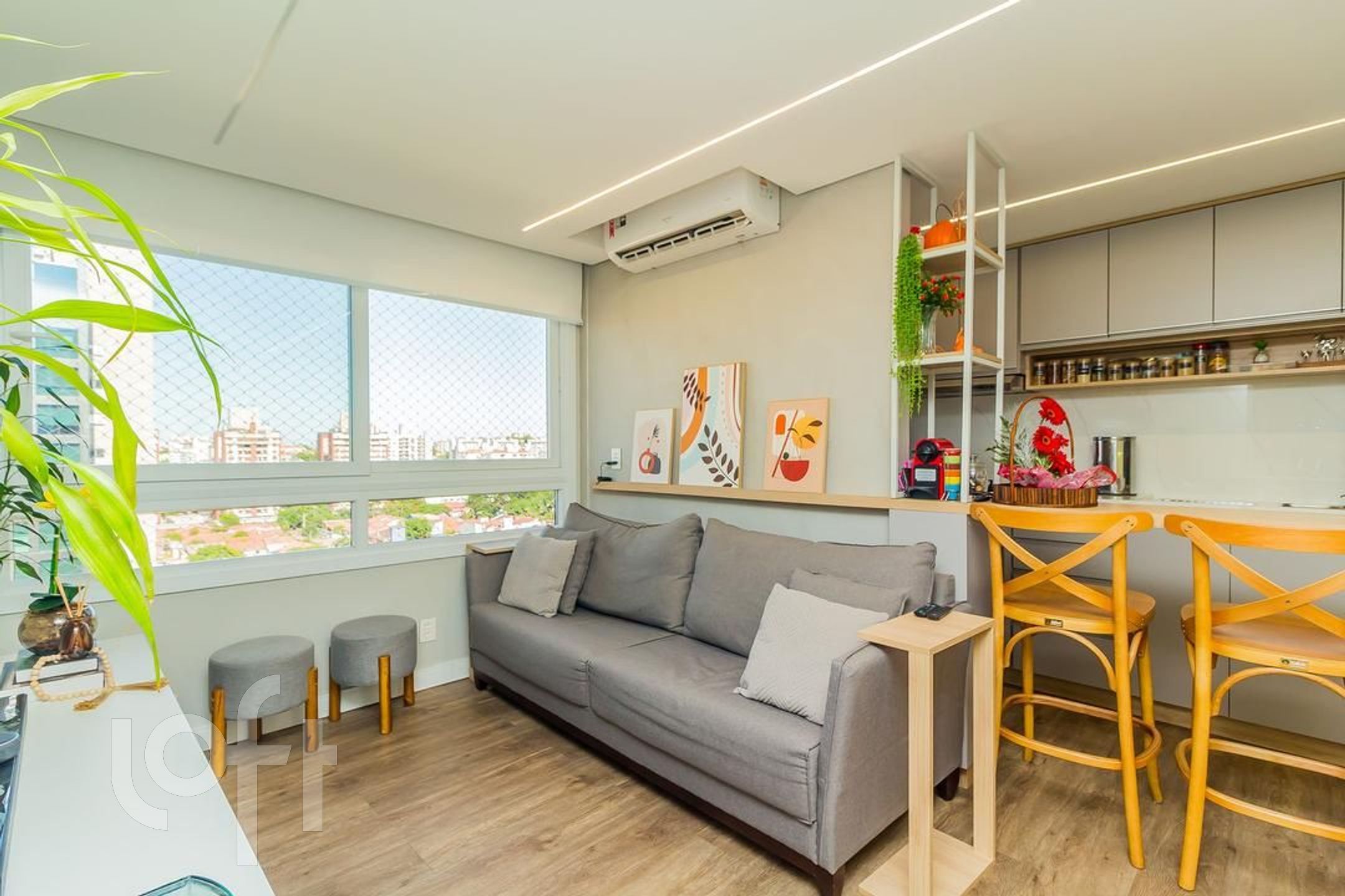 Imagem da propriedade 3