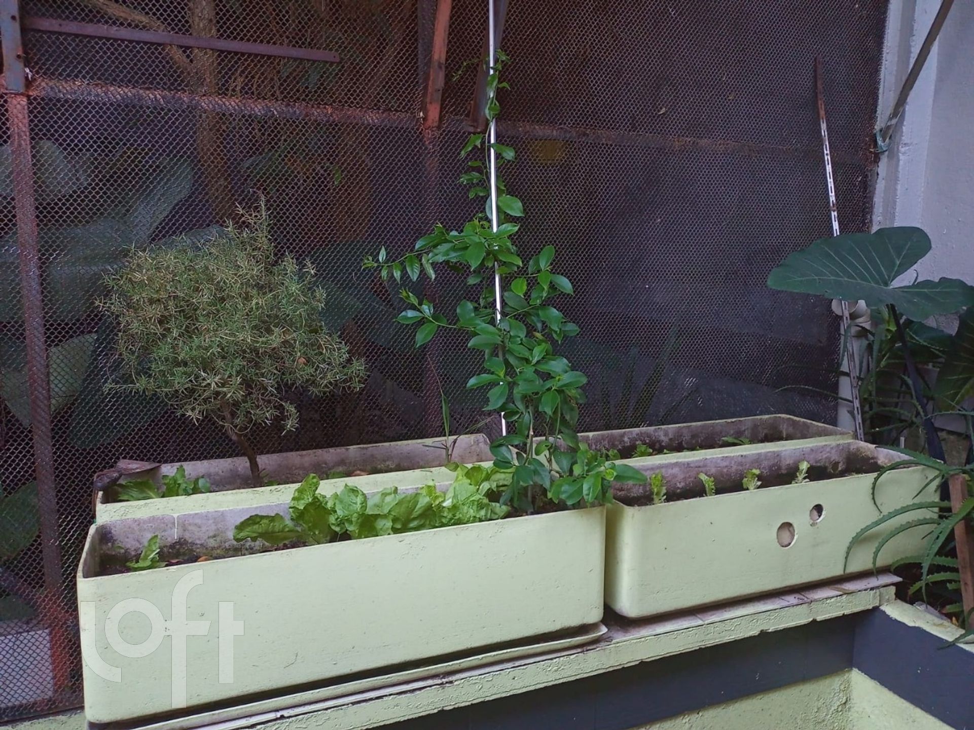 Imagem da propriedade 51