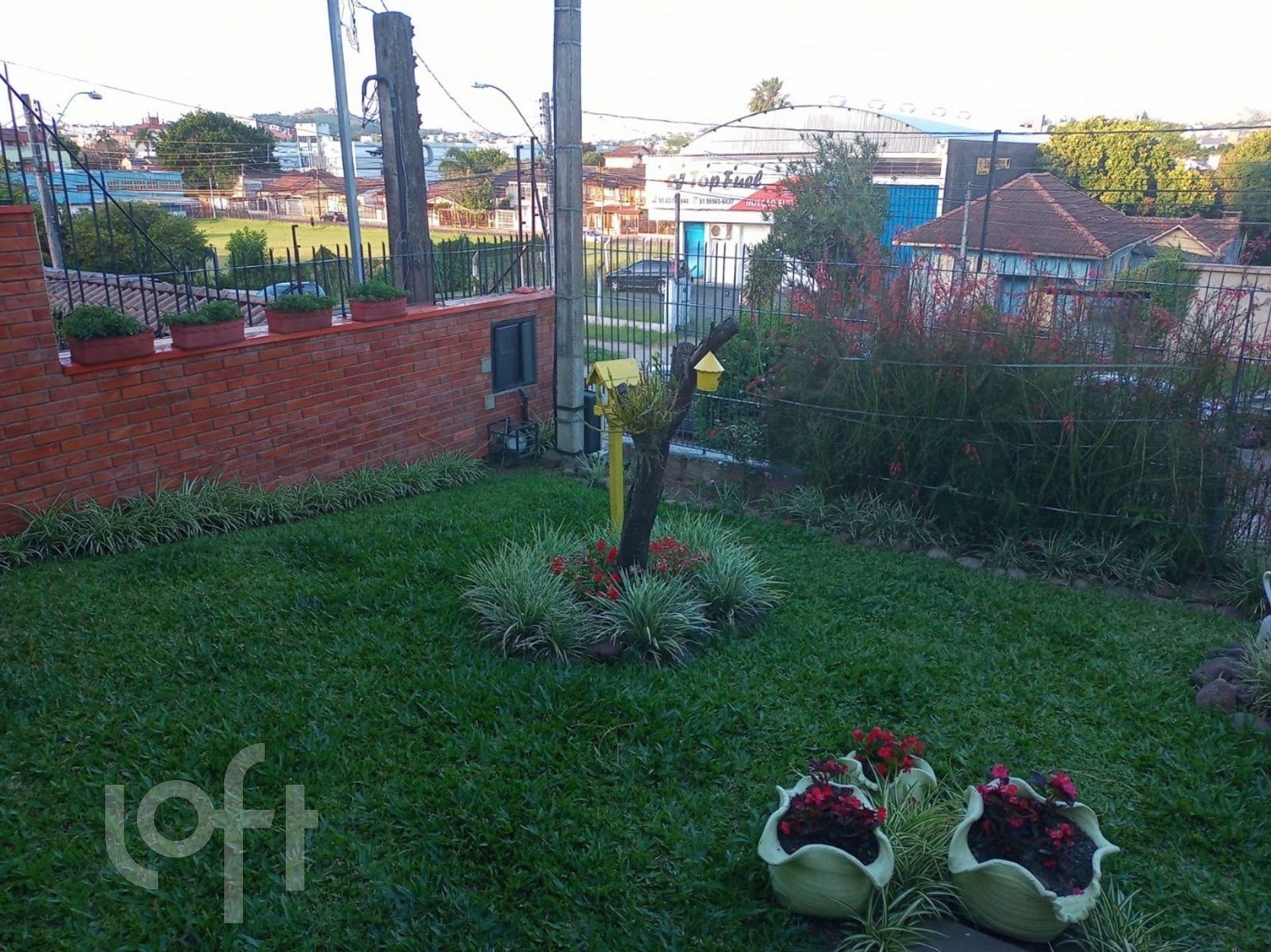 Imagem da propriedade 4