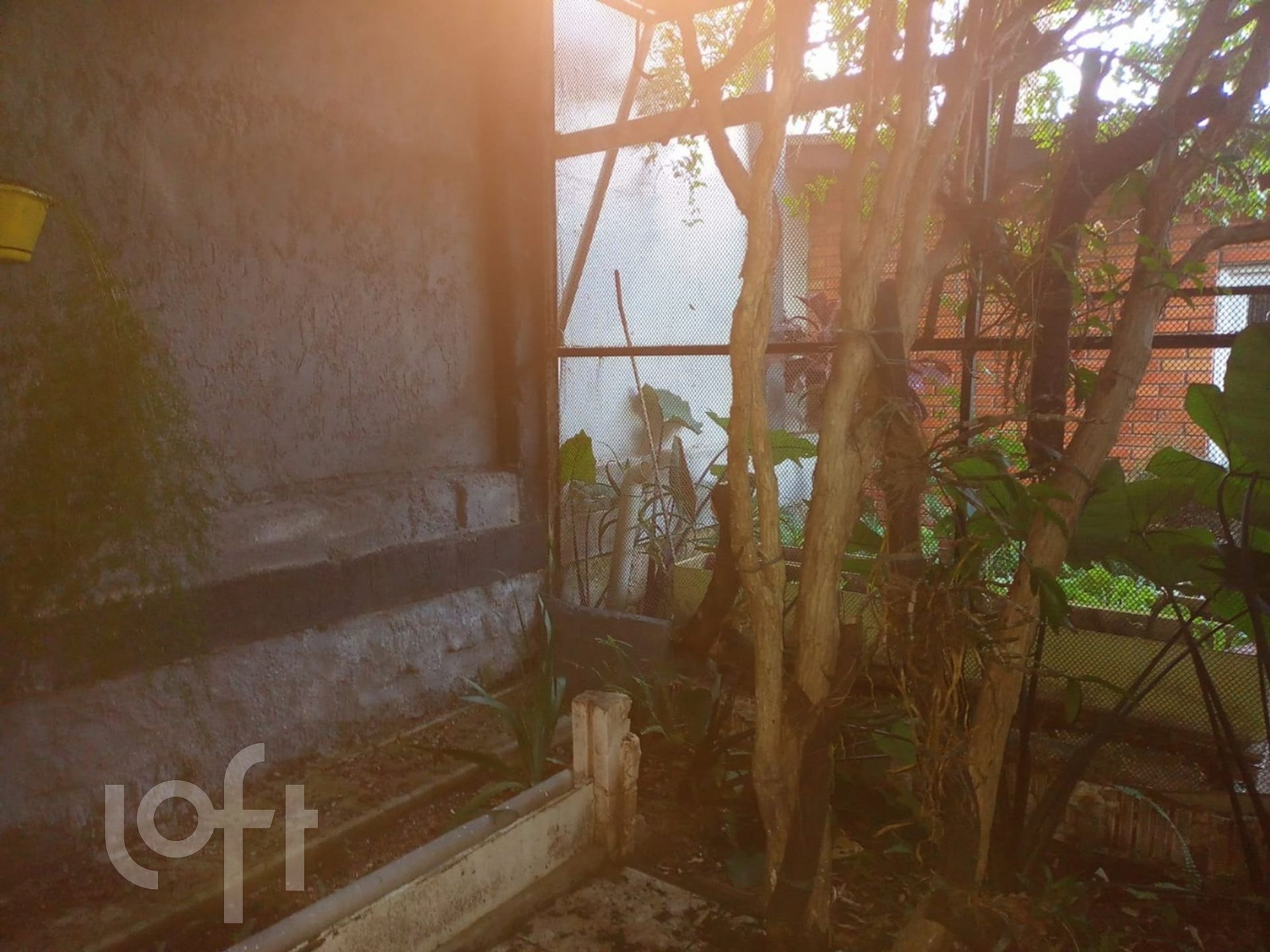 Imagem da propriedade 59