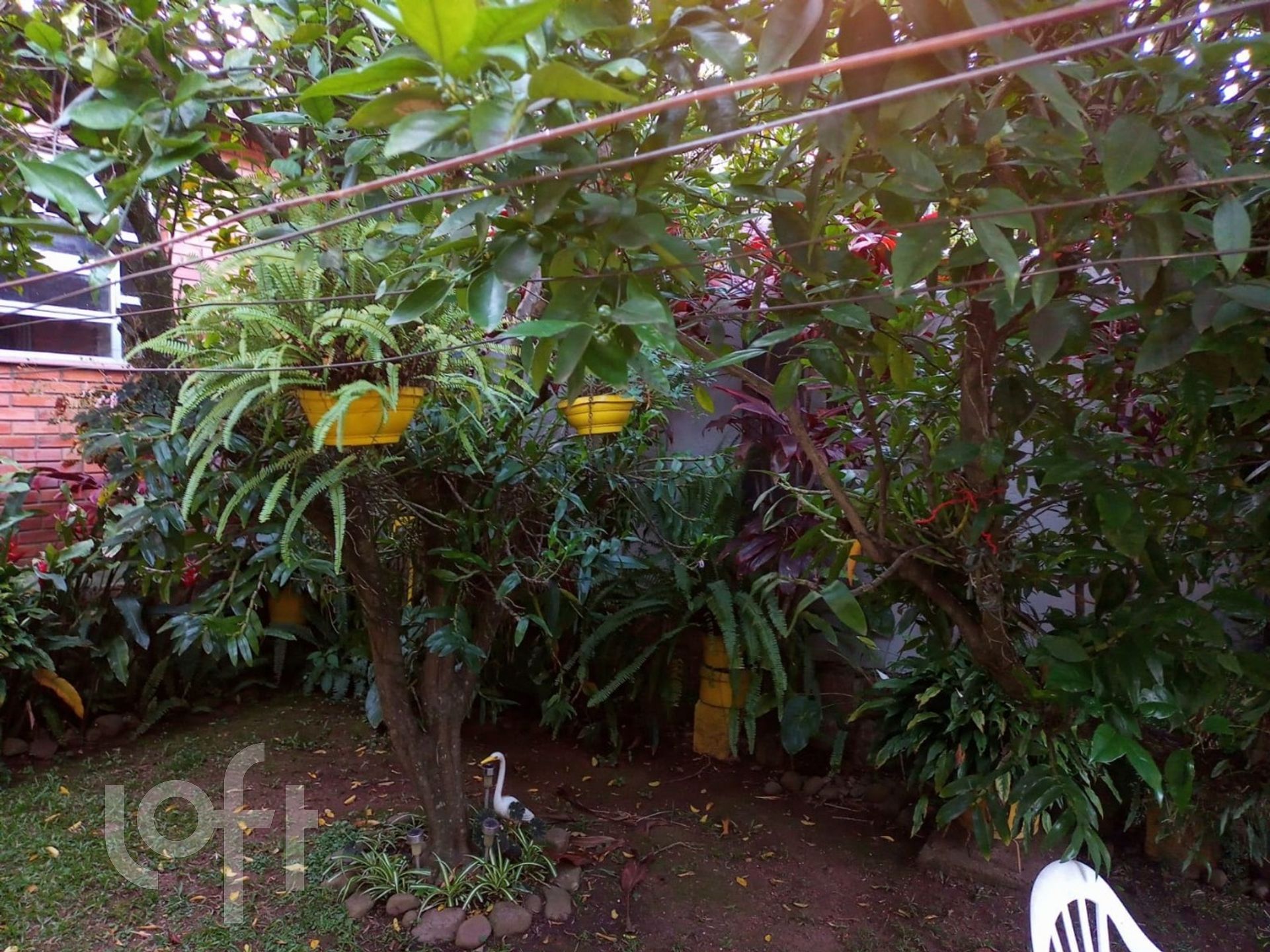 Imagem da propriedade 58