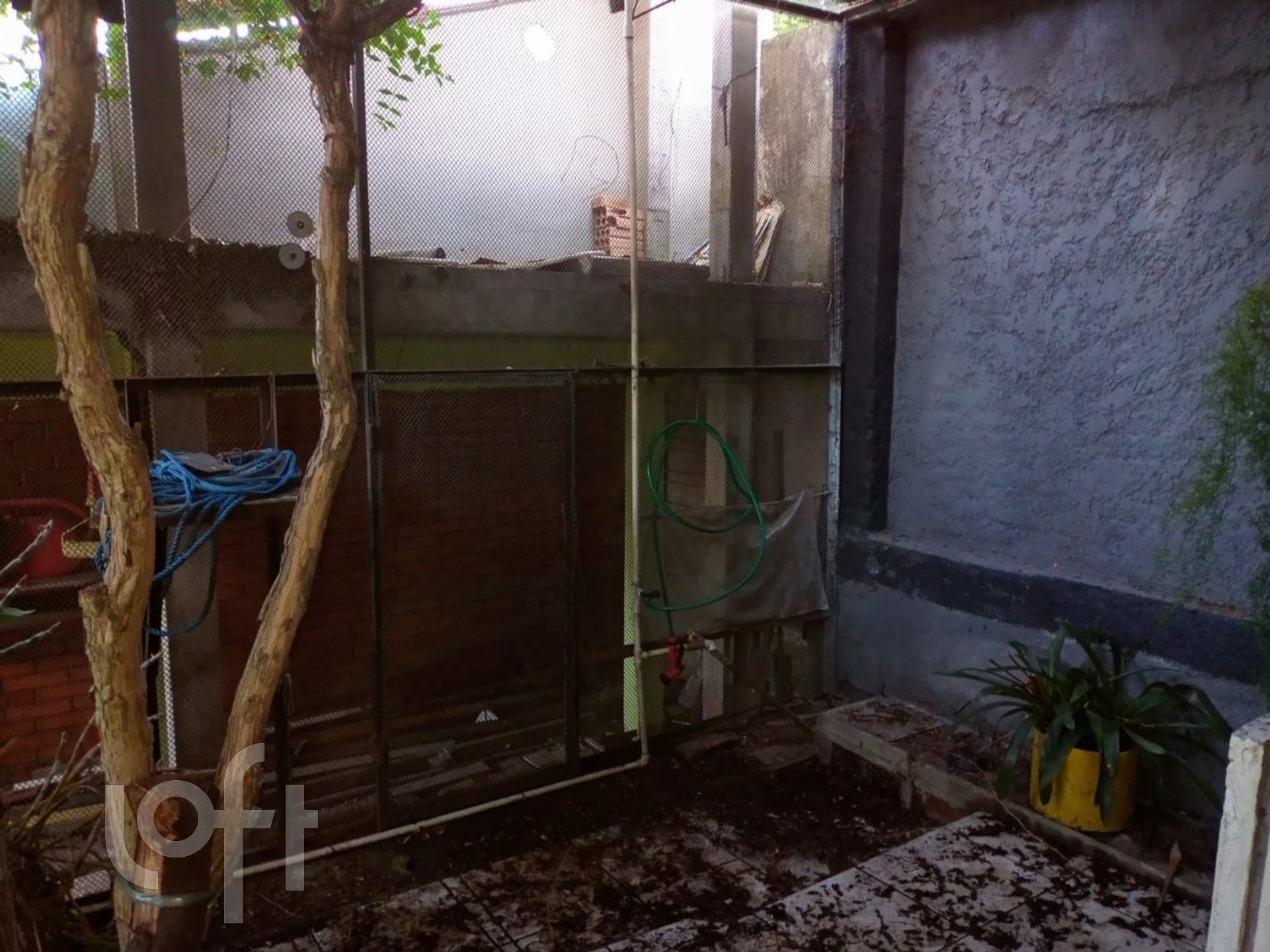 Imagem da propriedade 61