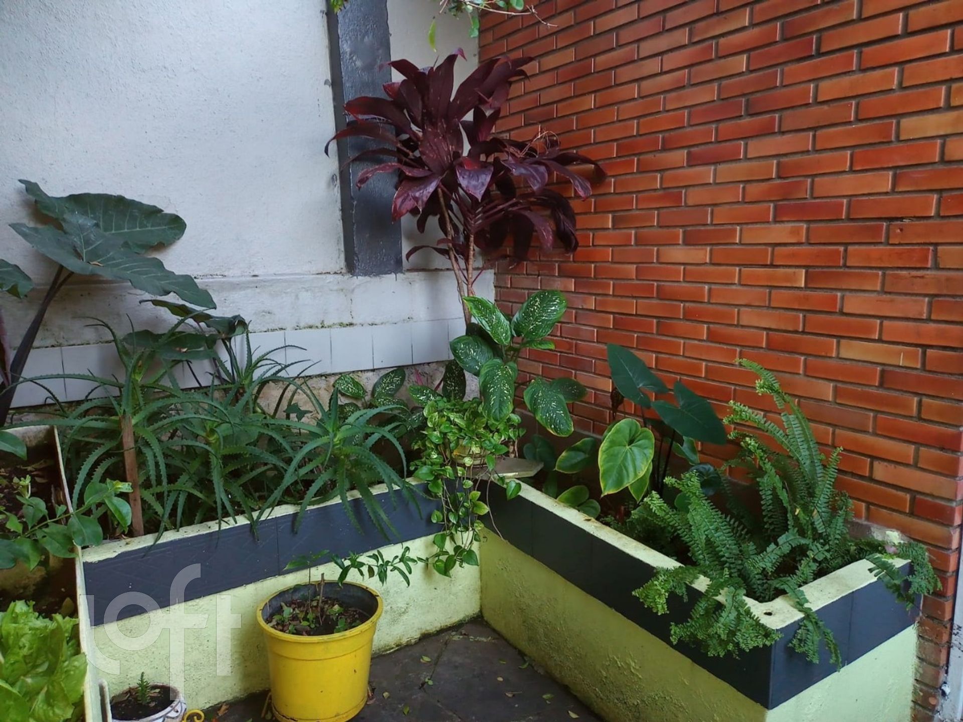 Imagem da propriedade 53