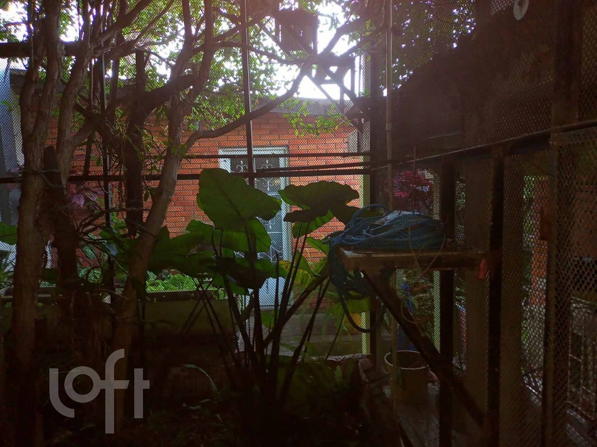 Imagem da propriedade 60