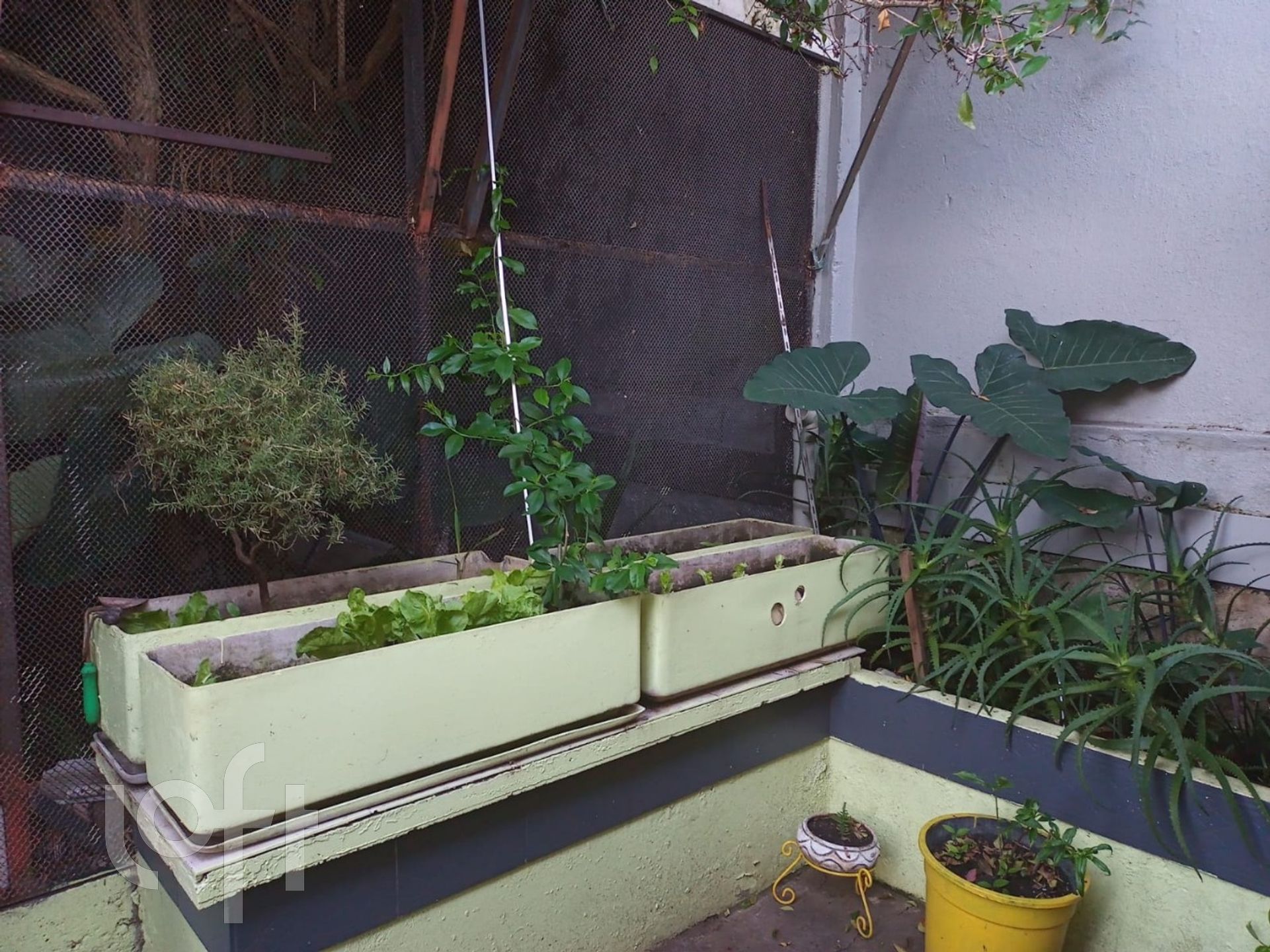 Imagem da propriedade 52