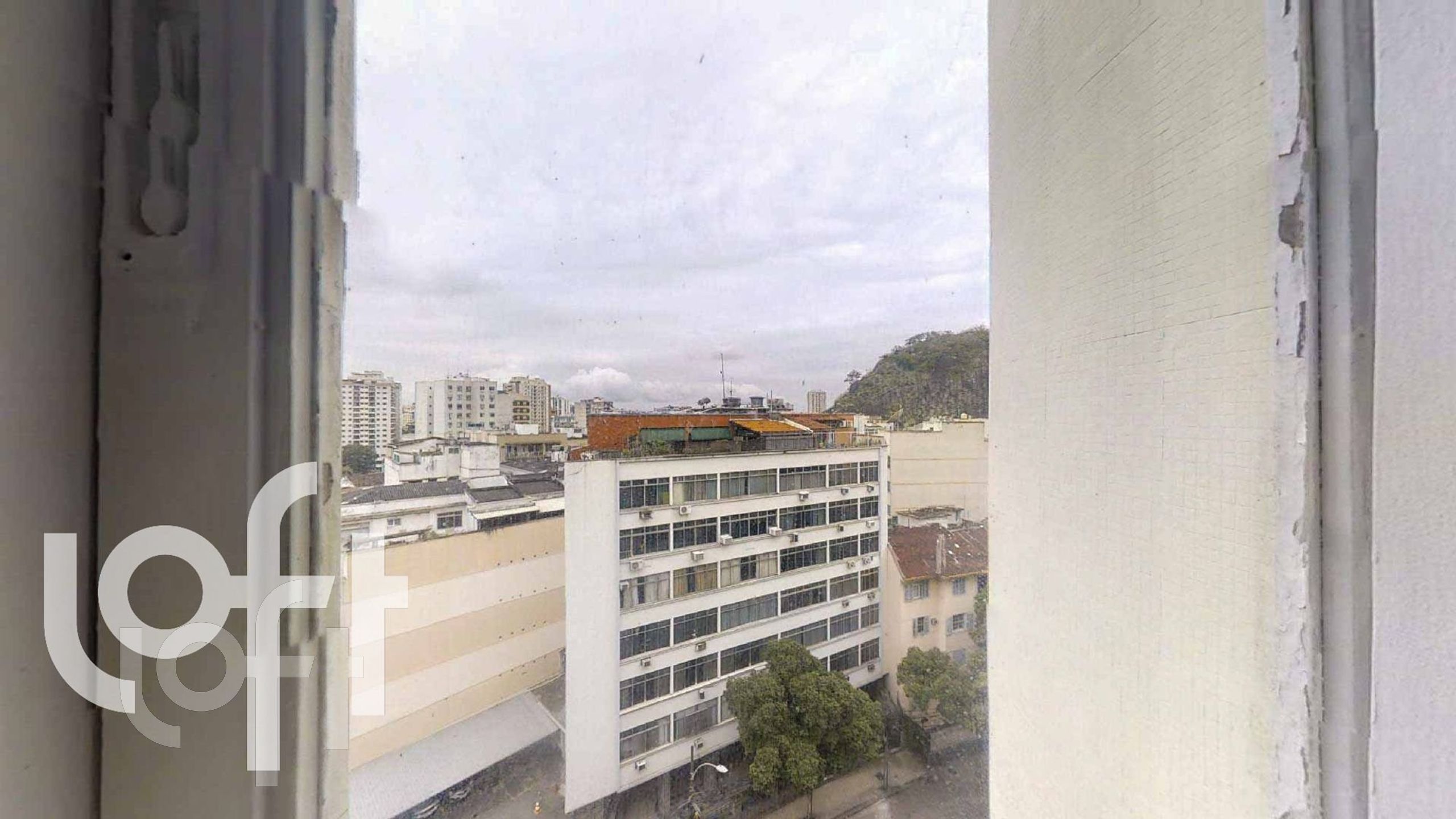 Imagem da propriedade 16