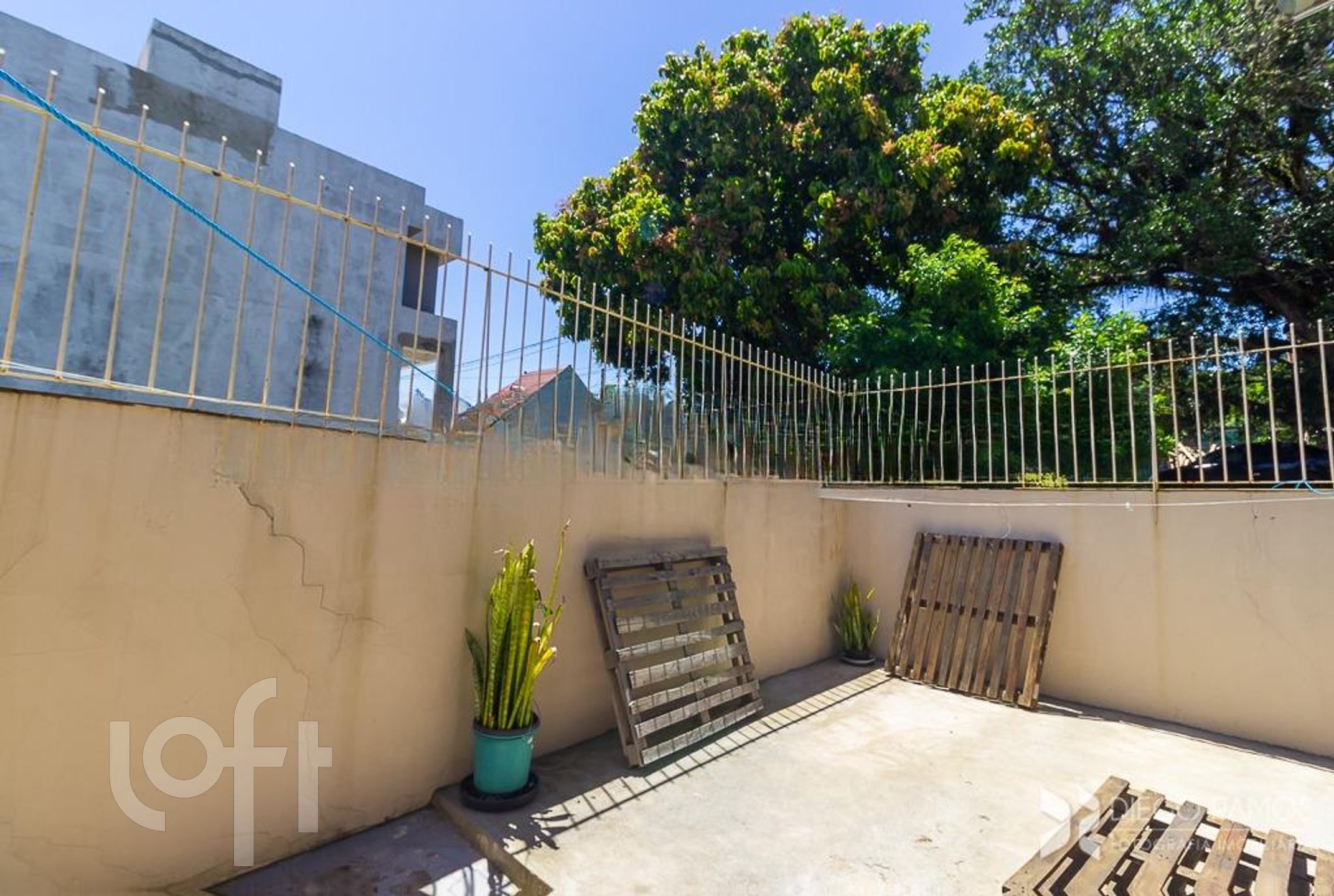 Imagem da propriedade 9