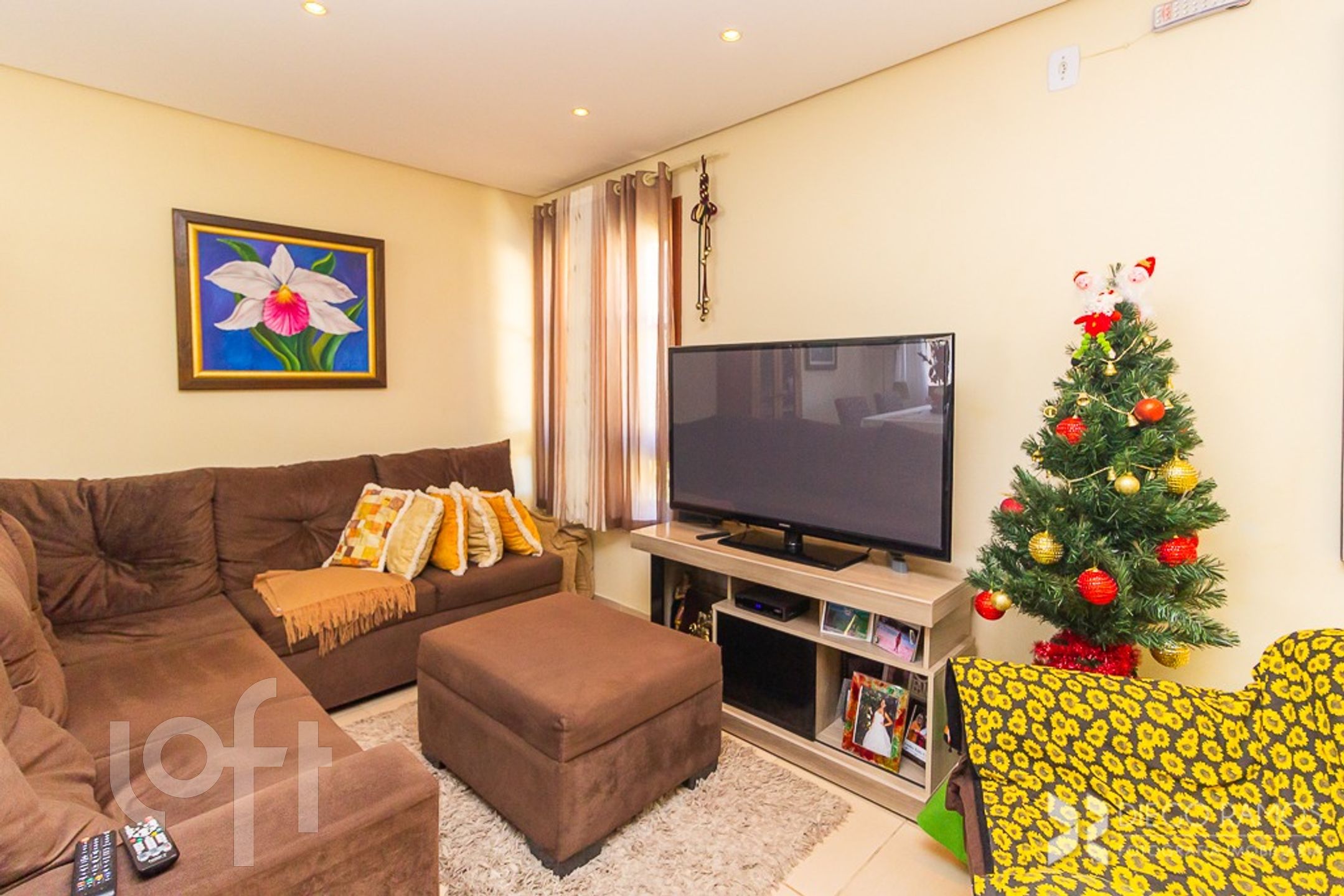 Imagem da propriedade 6