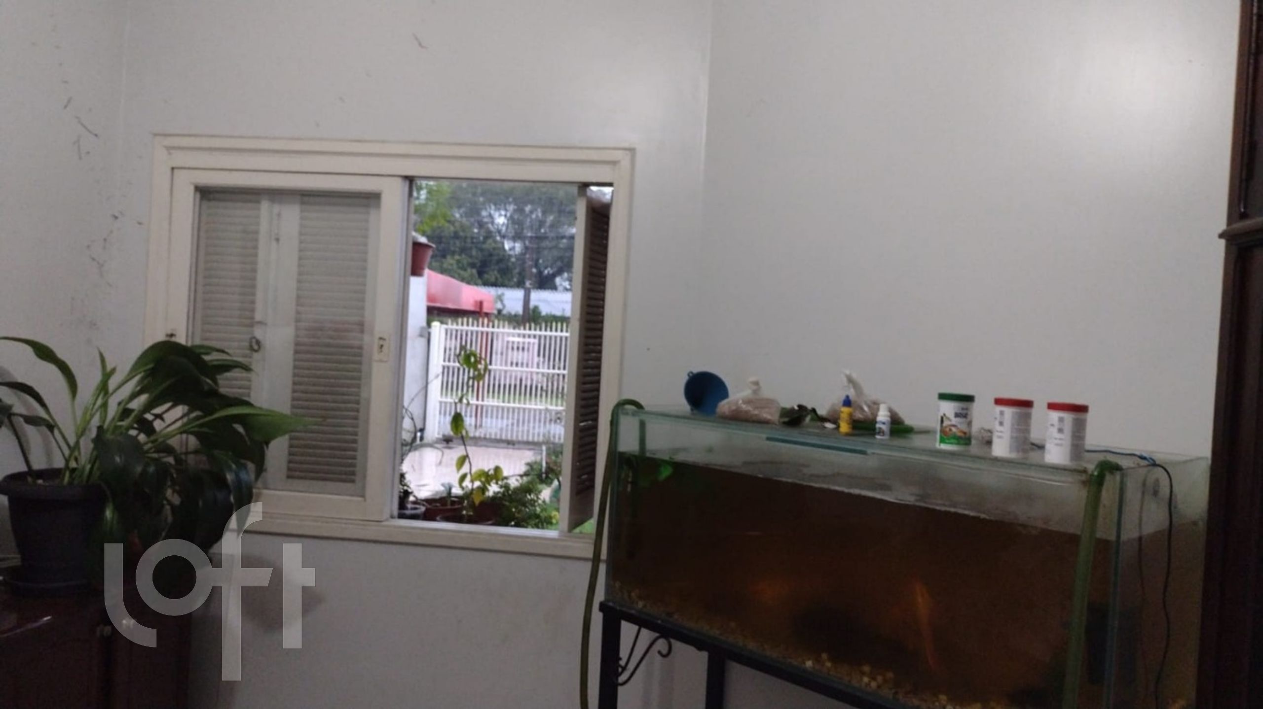 Imagem da propriedade 6