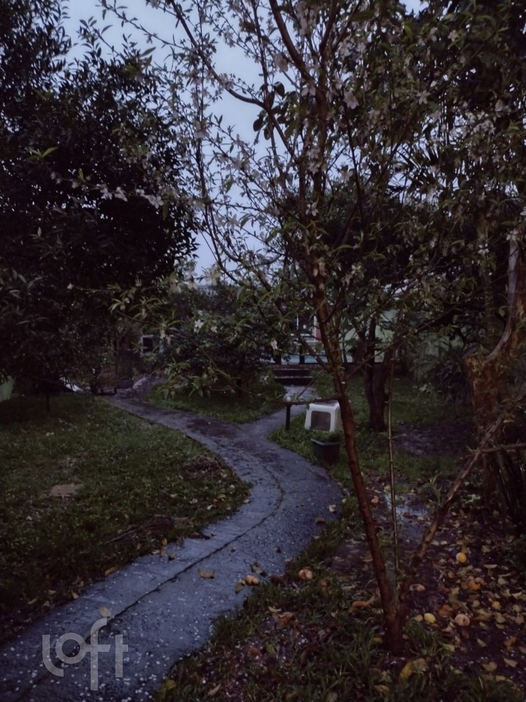 Imagem da propriedade 24