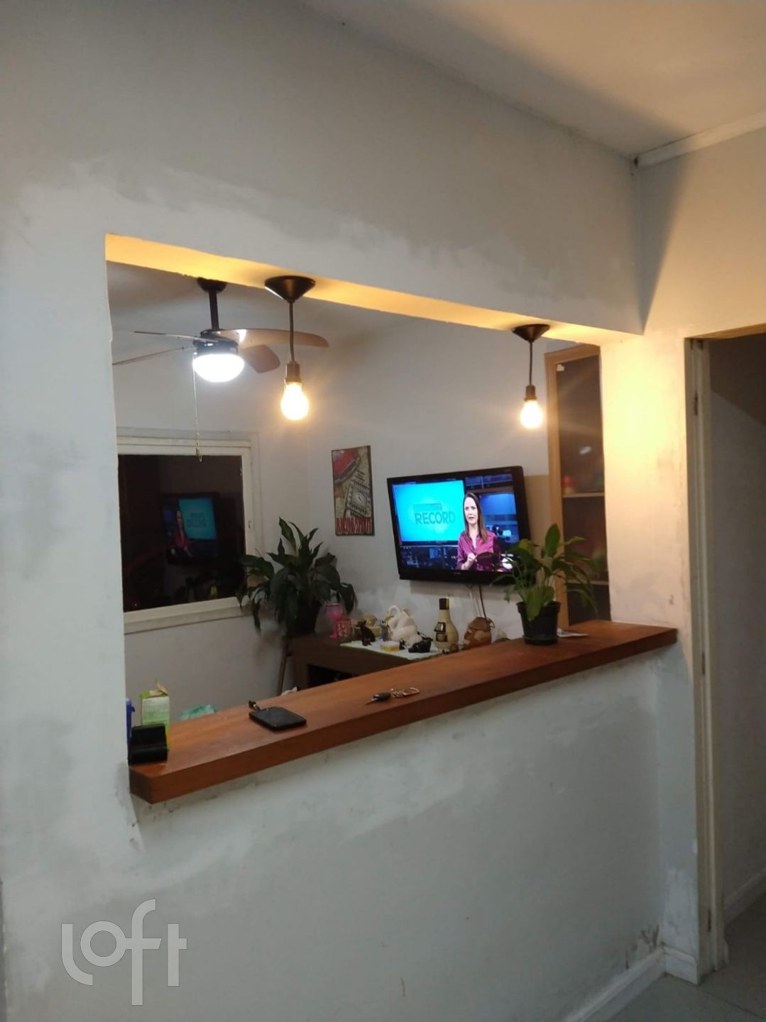 Imagem da propriedade 8