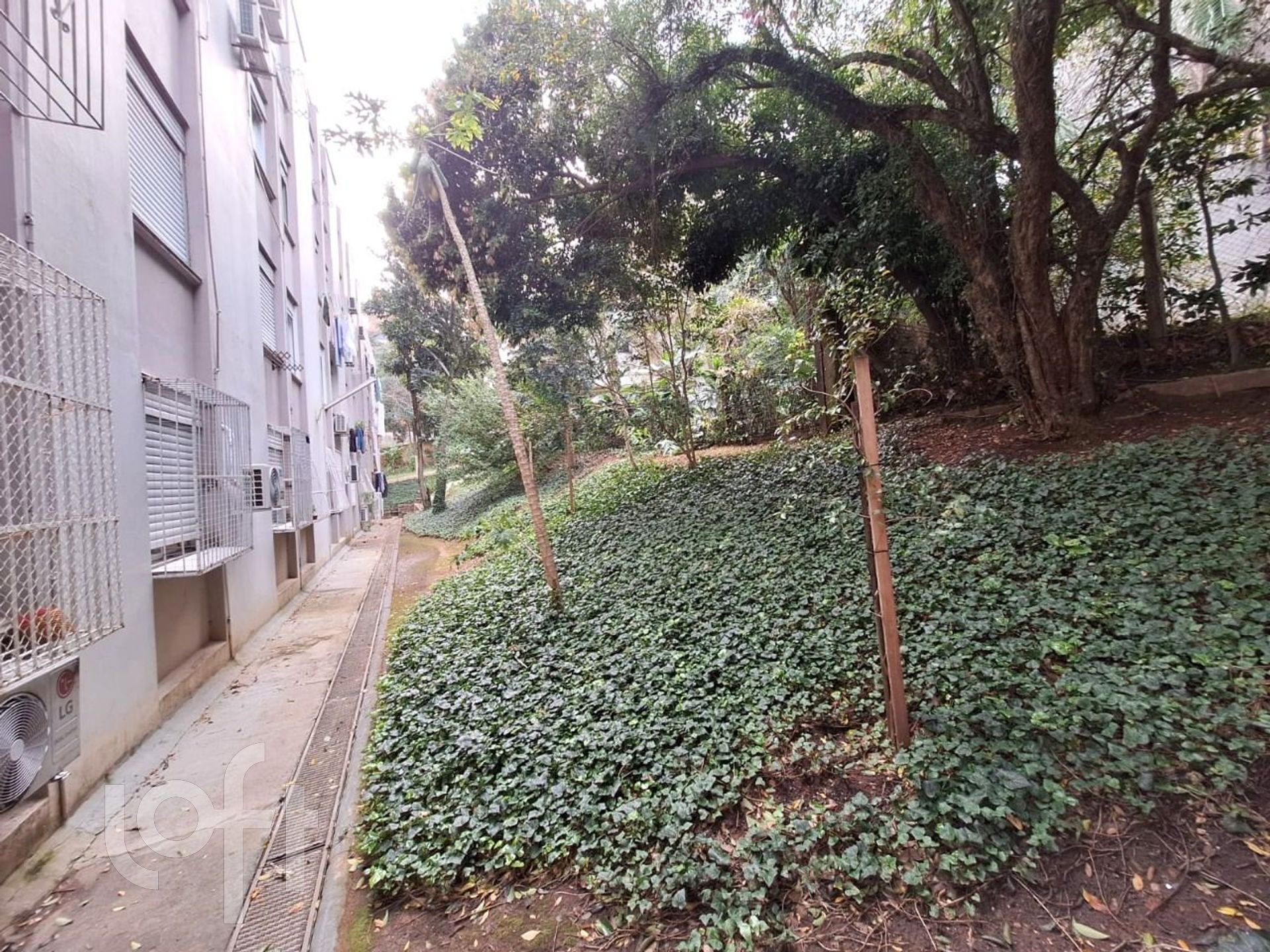 Imagem da propriedade 10