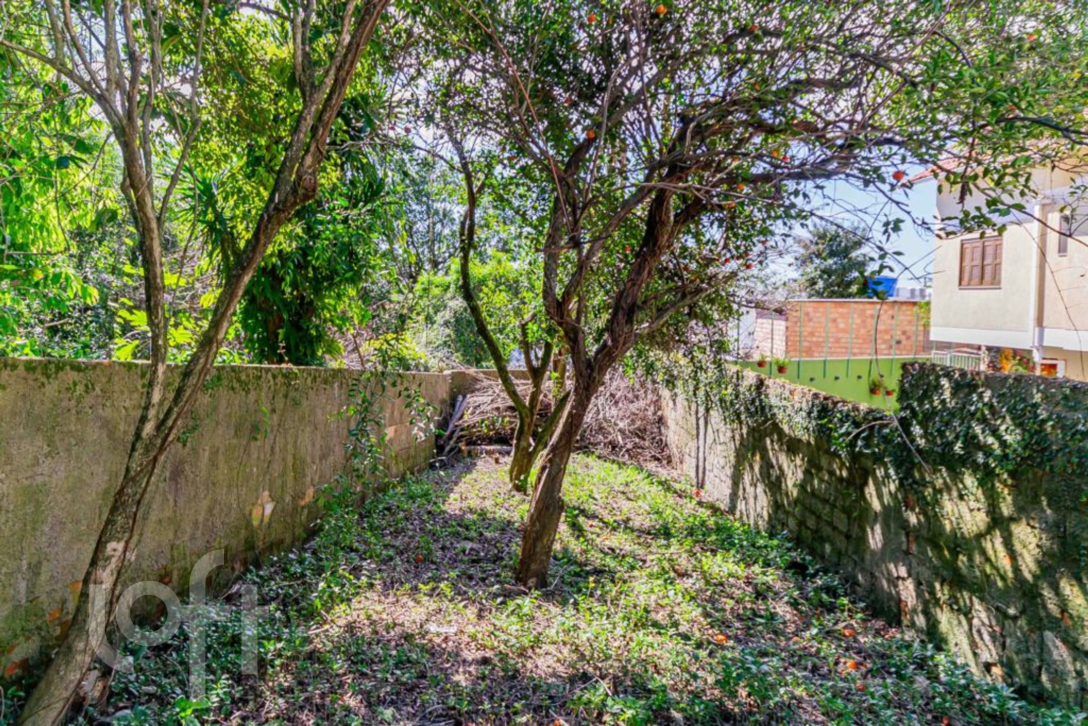 Imagem da propriedade 49