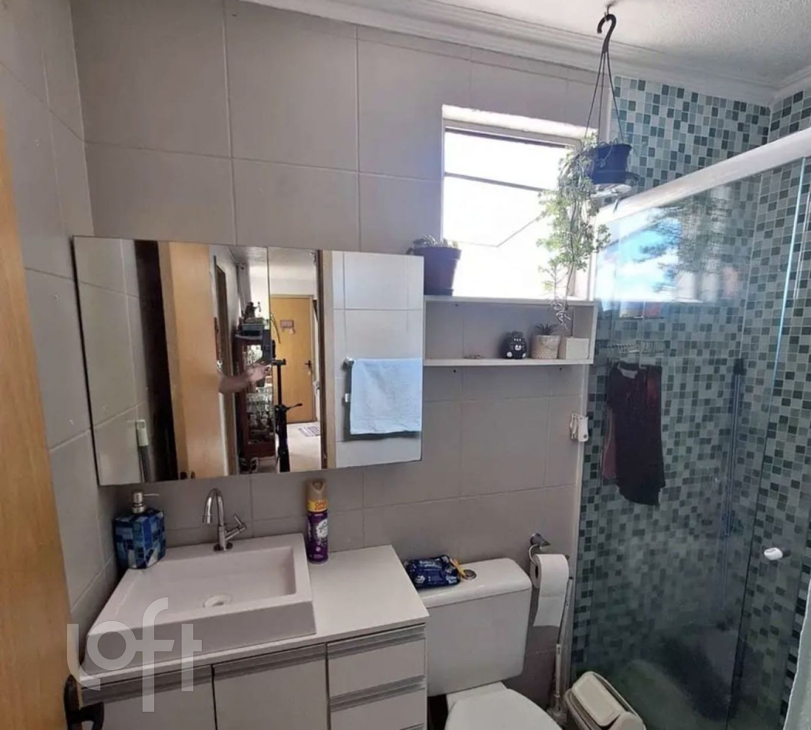 Imagem da propriedade 11