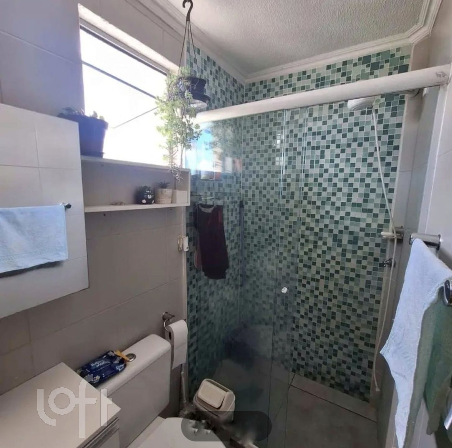 Imagem da propriedade 12