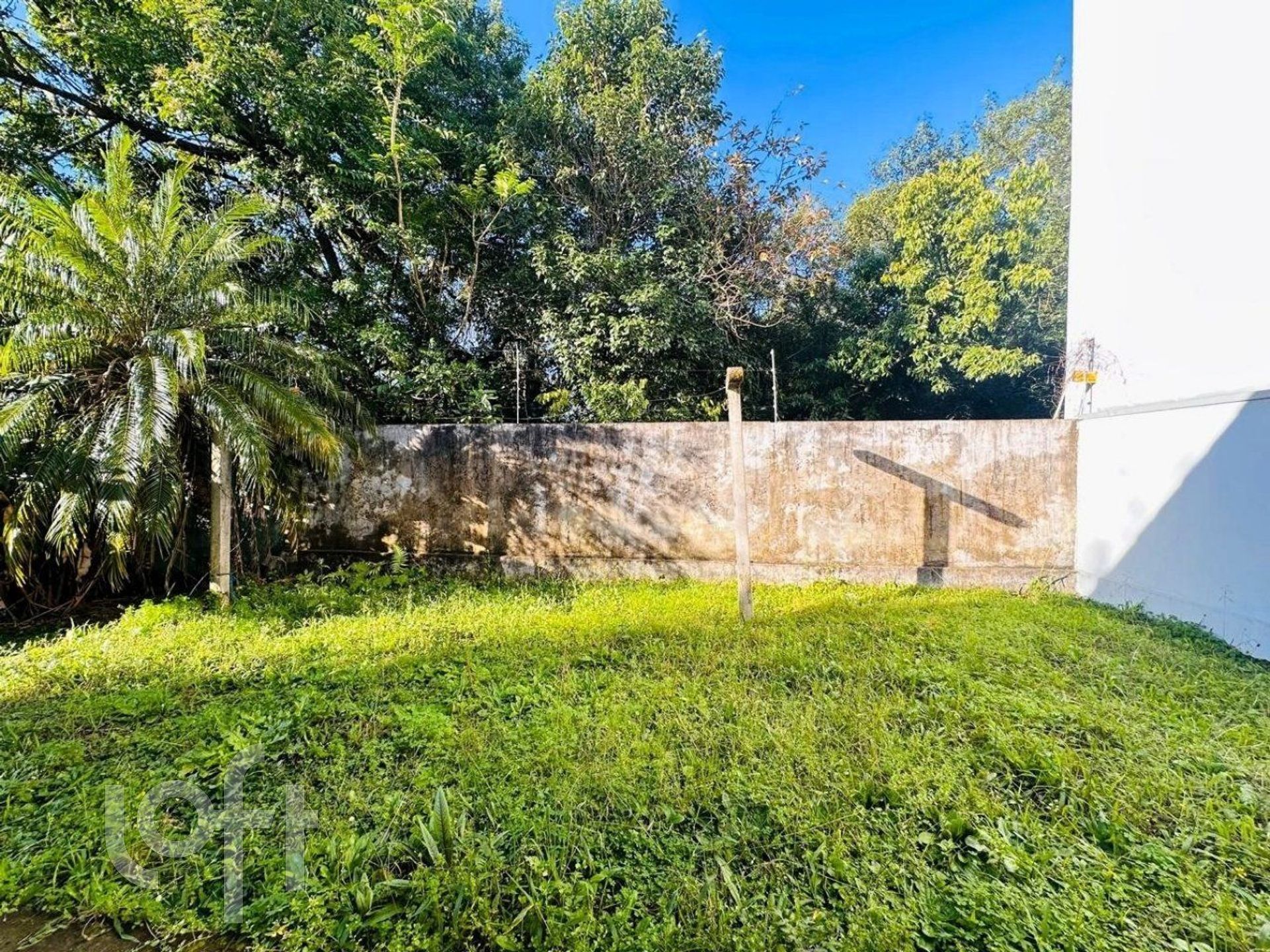 Imagem da propriedade 22