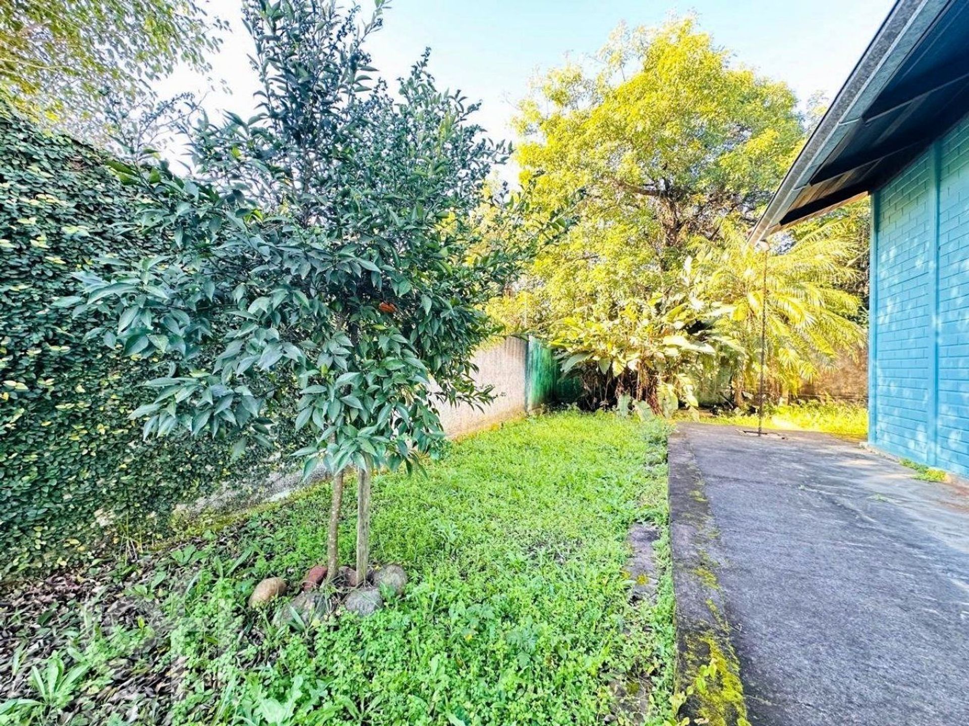 Imagem da propriedade 42