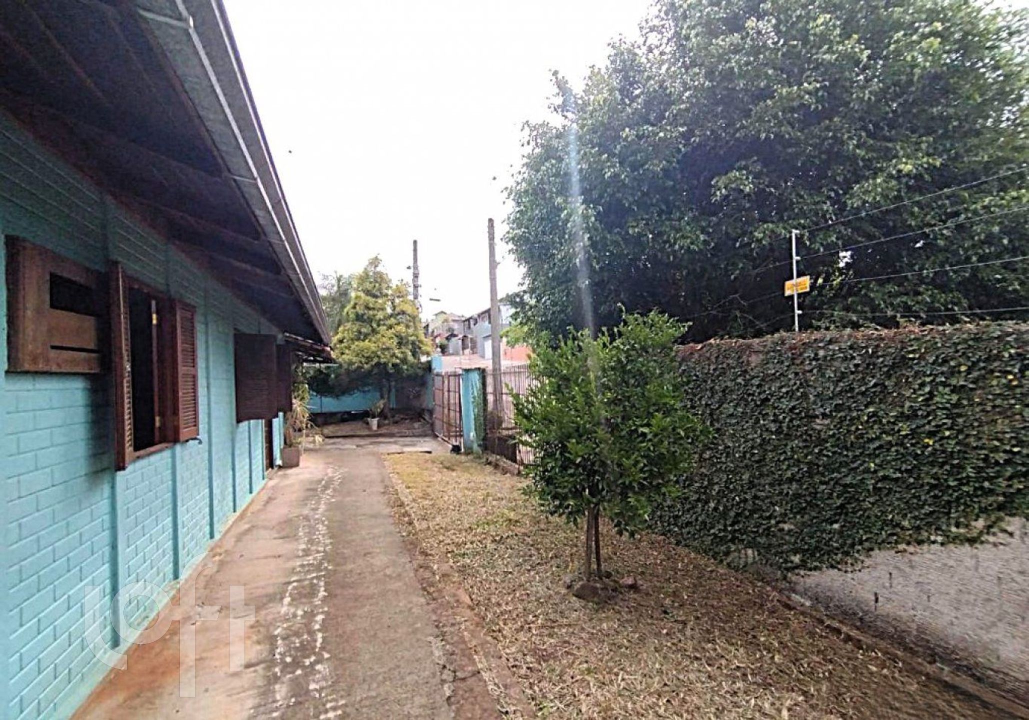 Imagem da propriedade 34